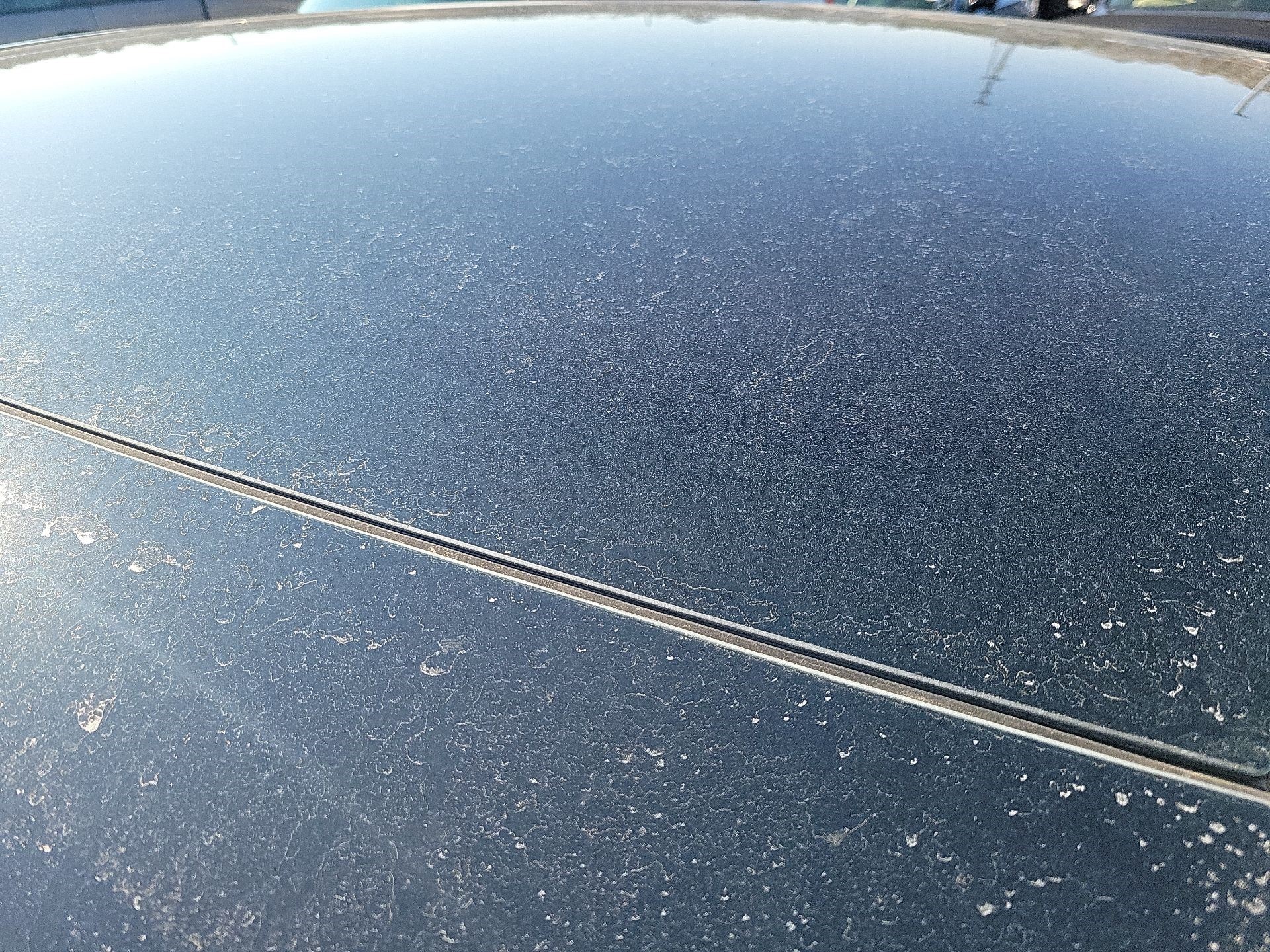 Thumbnail: 2021 Tesla Model Y - 5