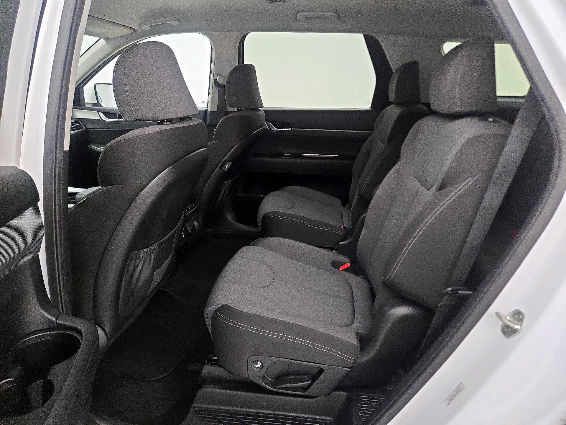 Thumbnail: 2020 Hyundai Palisade - 19