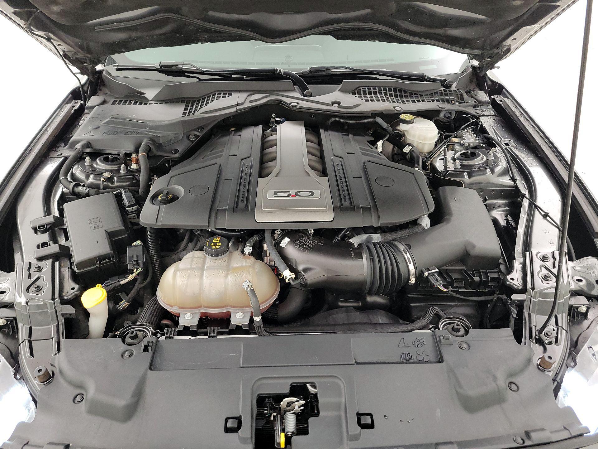 Thumbnail: 2018 Ford Mustang - 19