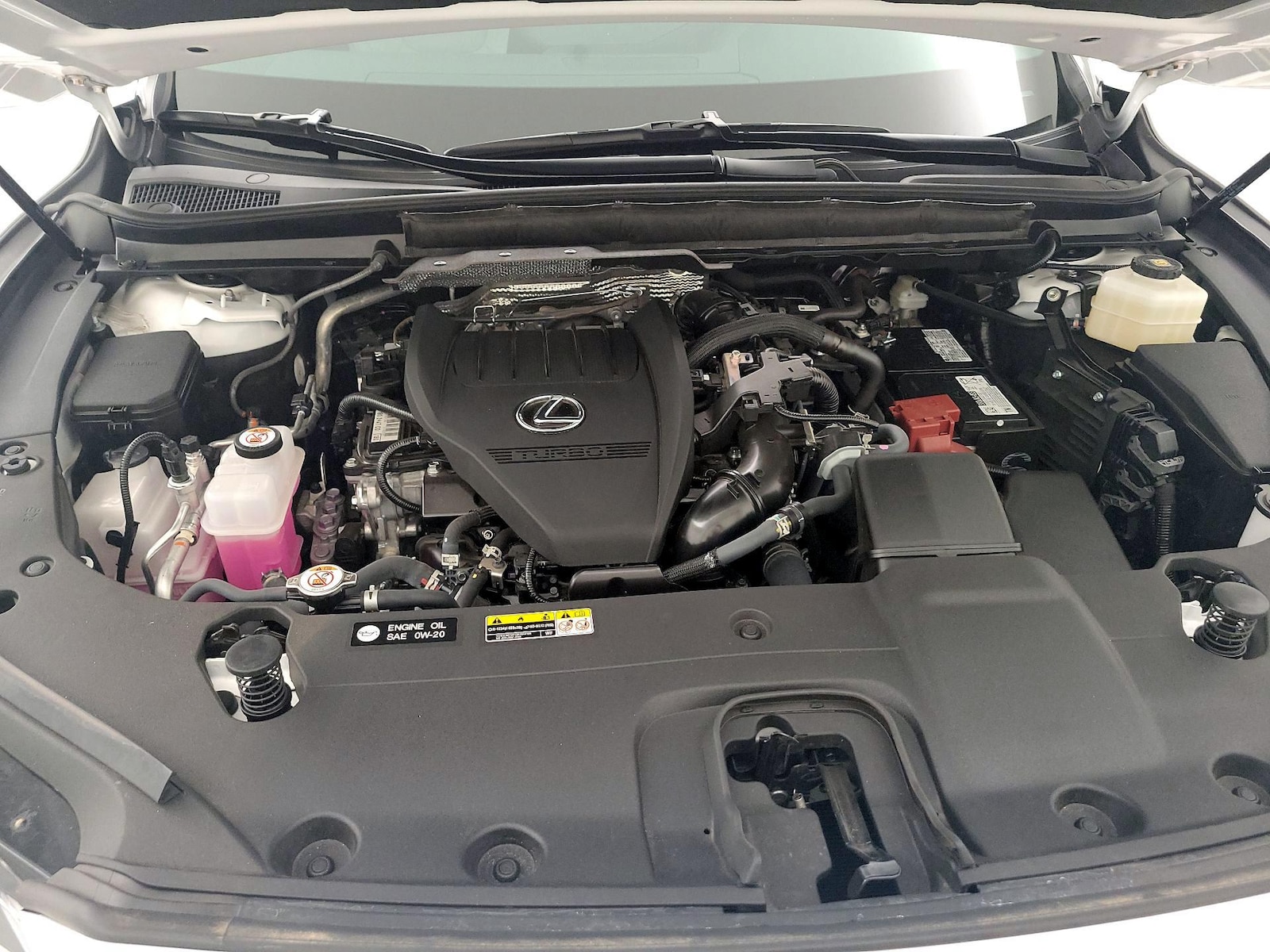 2025 Lexus RX 350 - Photo 24