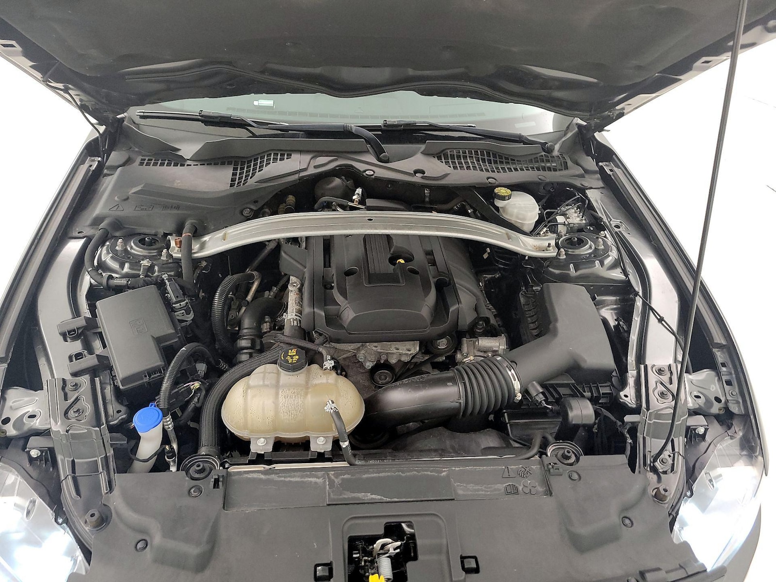 2020 Ford Mustang EcoBoost - Photo 20