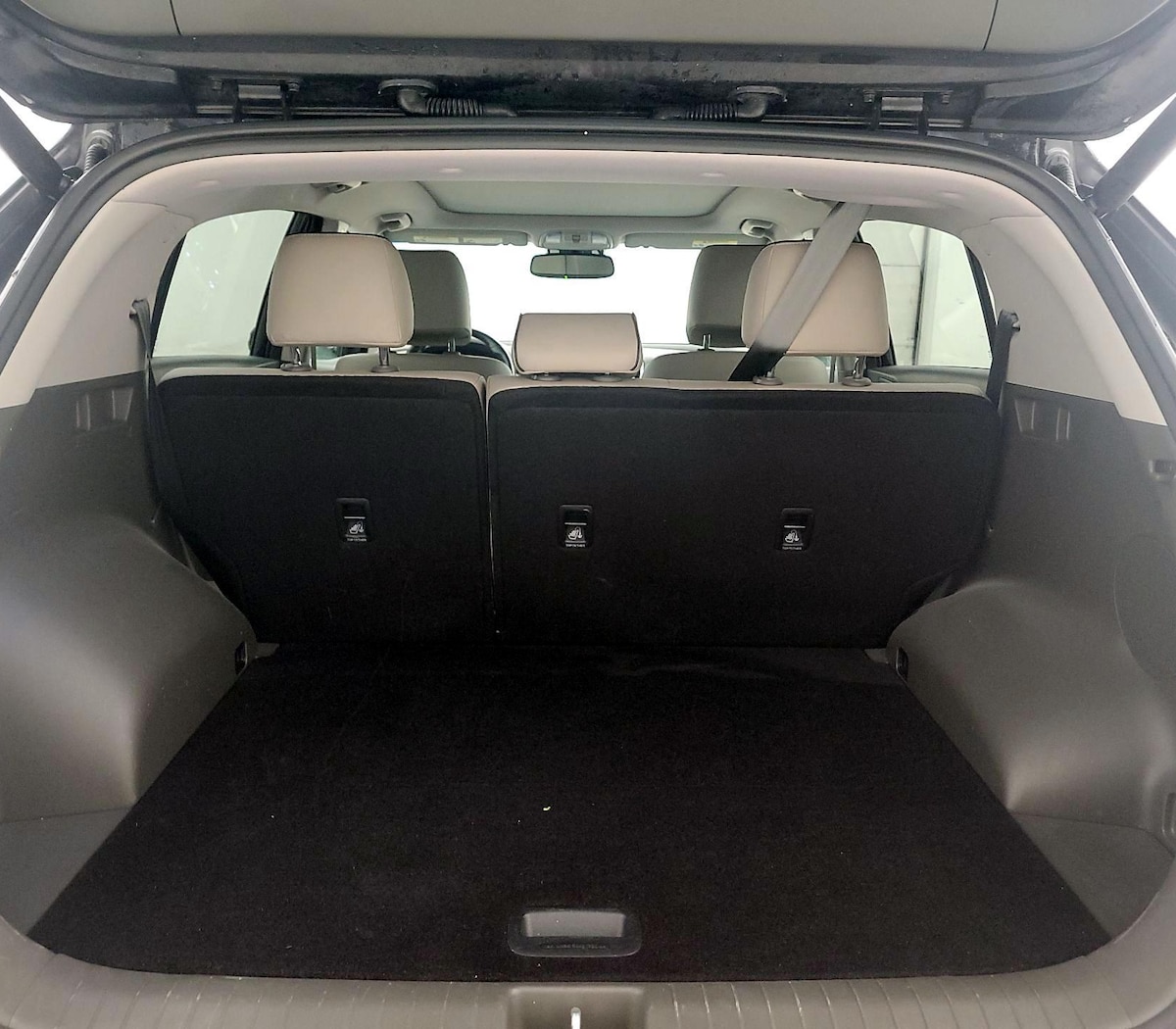 Trunk/Cargo (Seats Up)