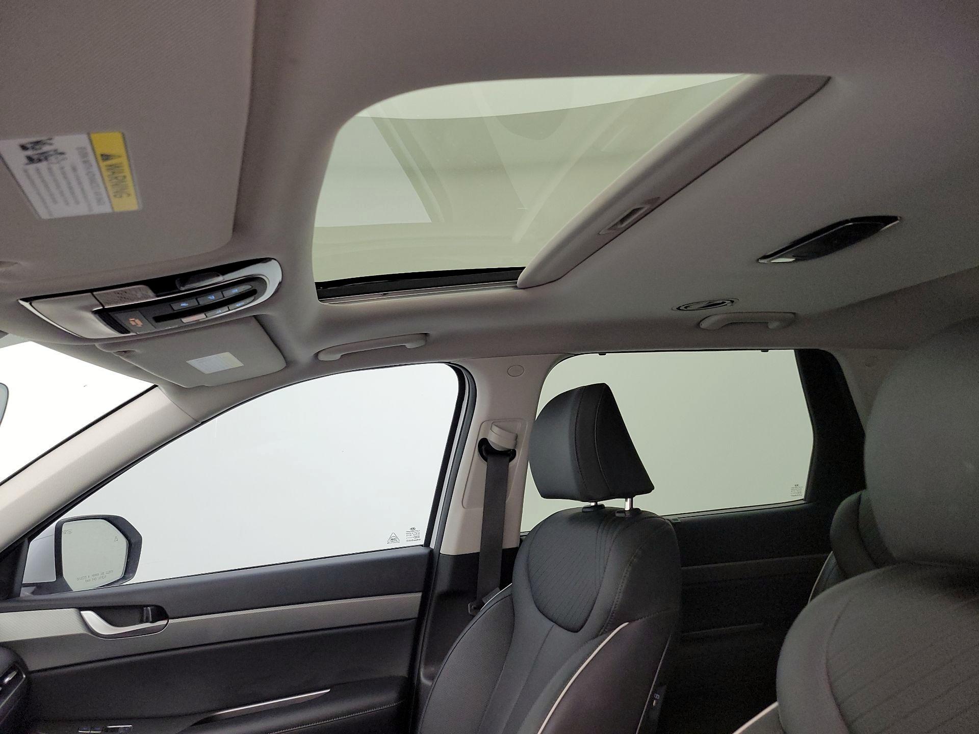 Thumbnail: 2025 Hyundai Palisade - 20