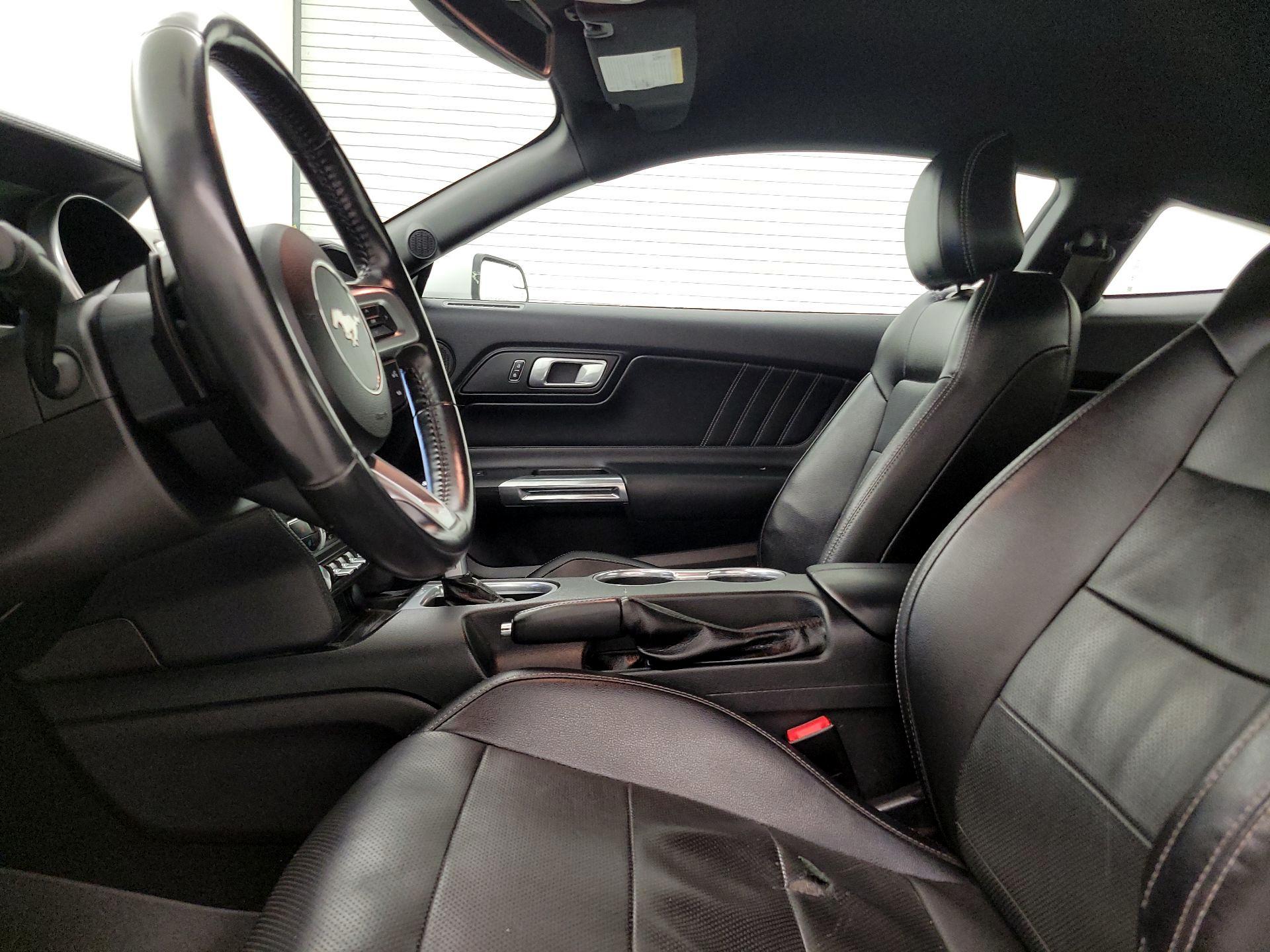 Thumbnail: 2019 Ford Mustang - 11