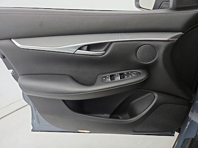 Driver Door Panel