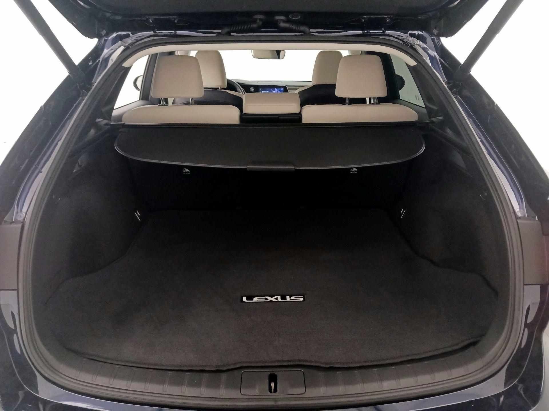 Thumbnail: 2024 Lexus RX - 20