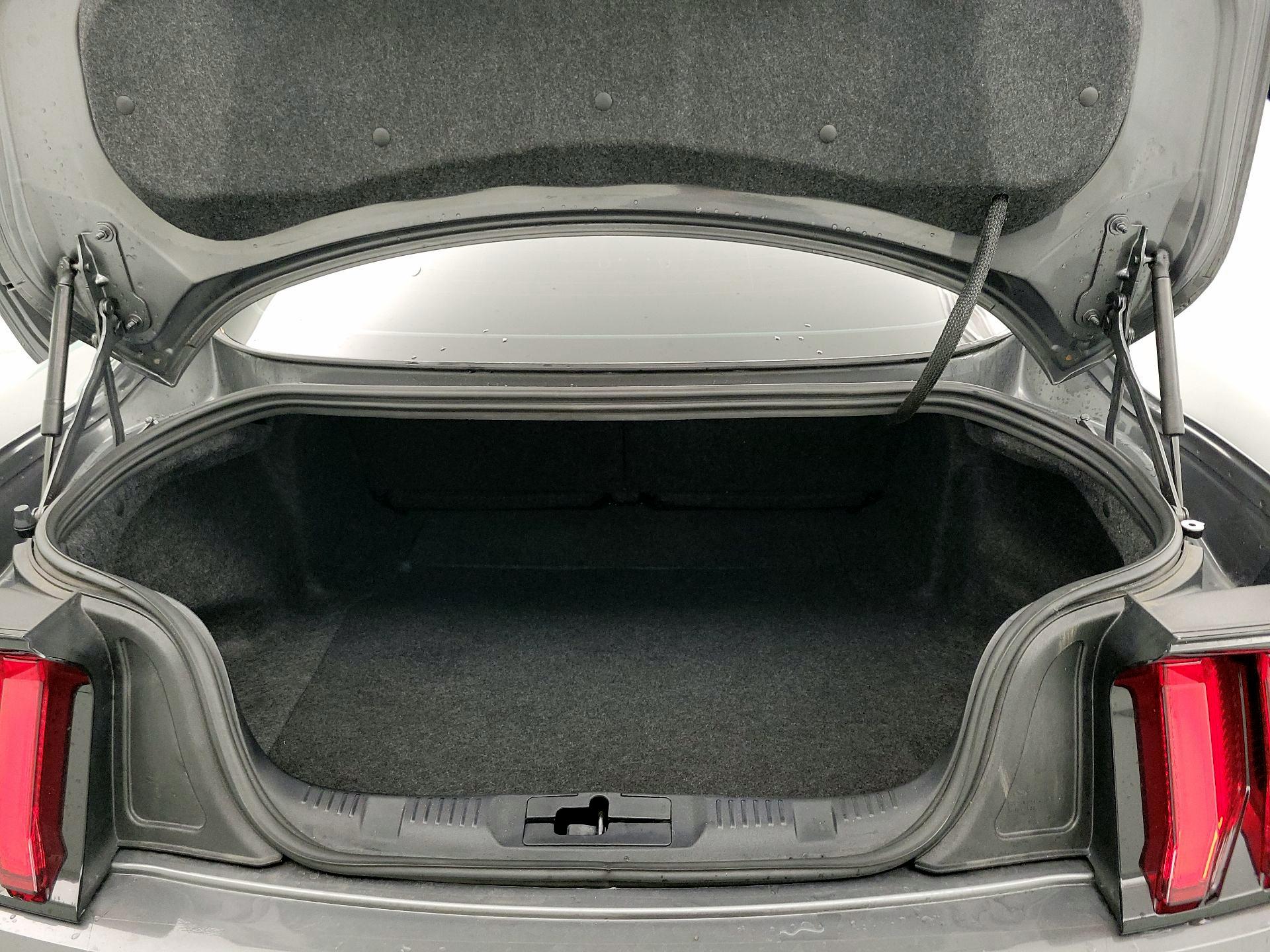 Thumbnail: 2023 Ford Mustang - 19