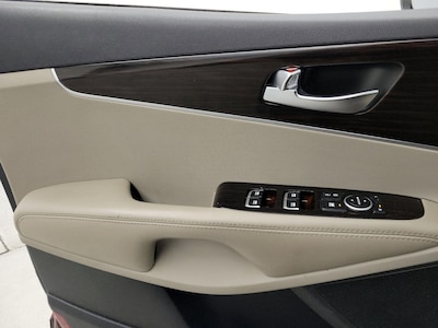 Driver Door Panel