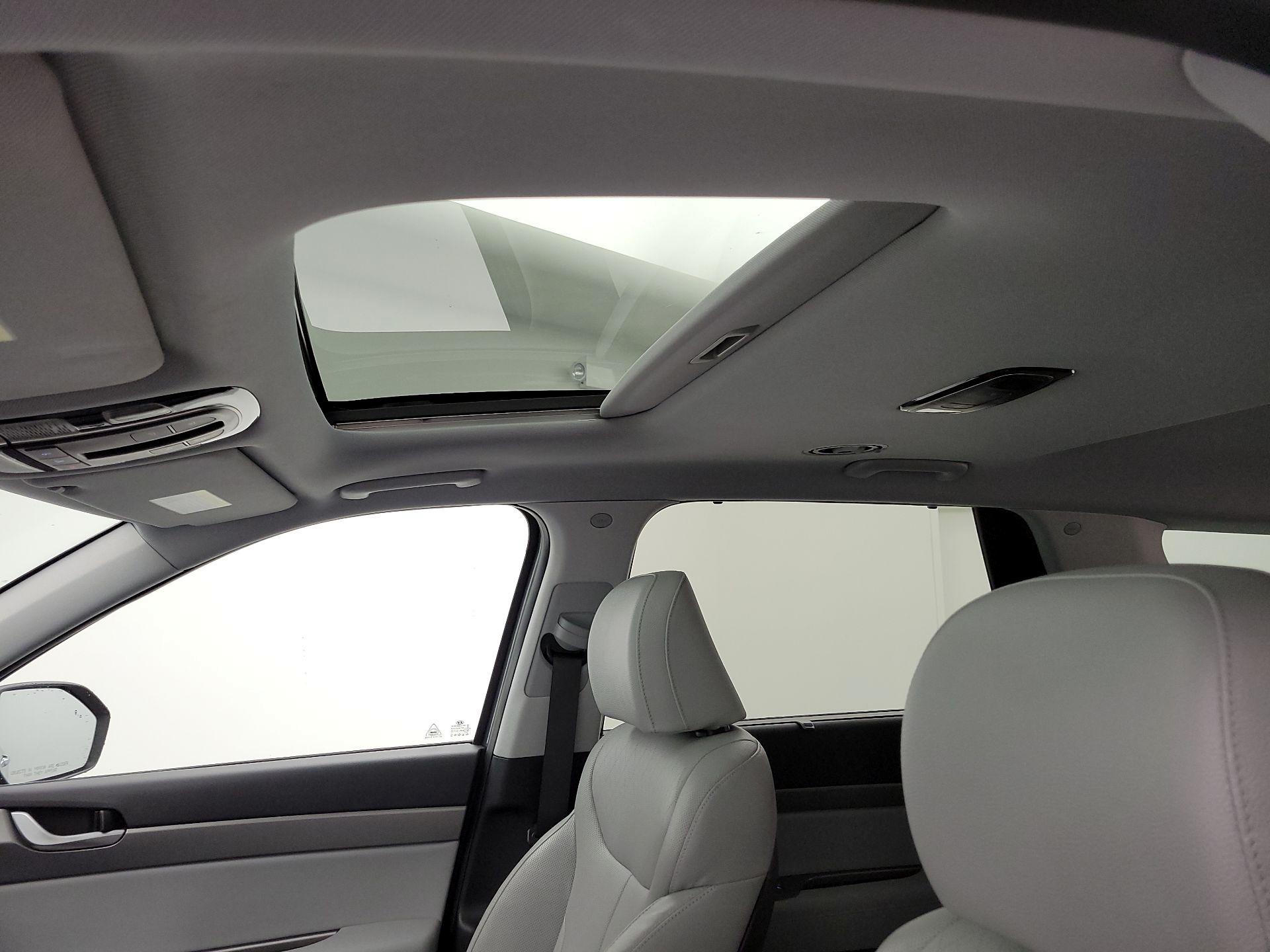 Thumbnail: 2021 Hyundai Palisade - 20