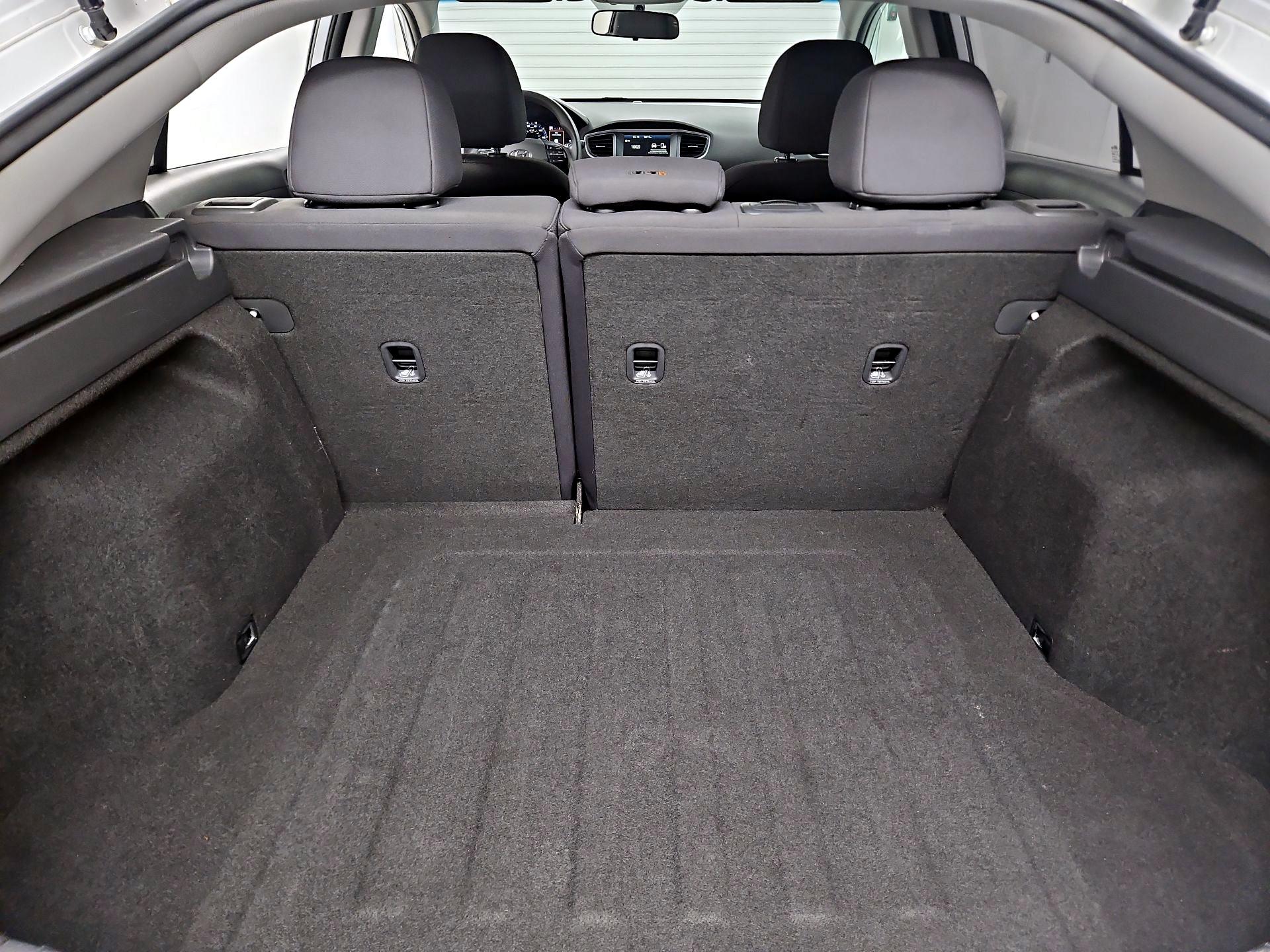 Thumbnail: 2019 Hyundai Ioniq - 20