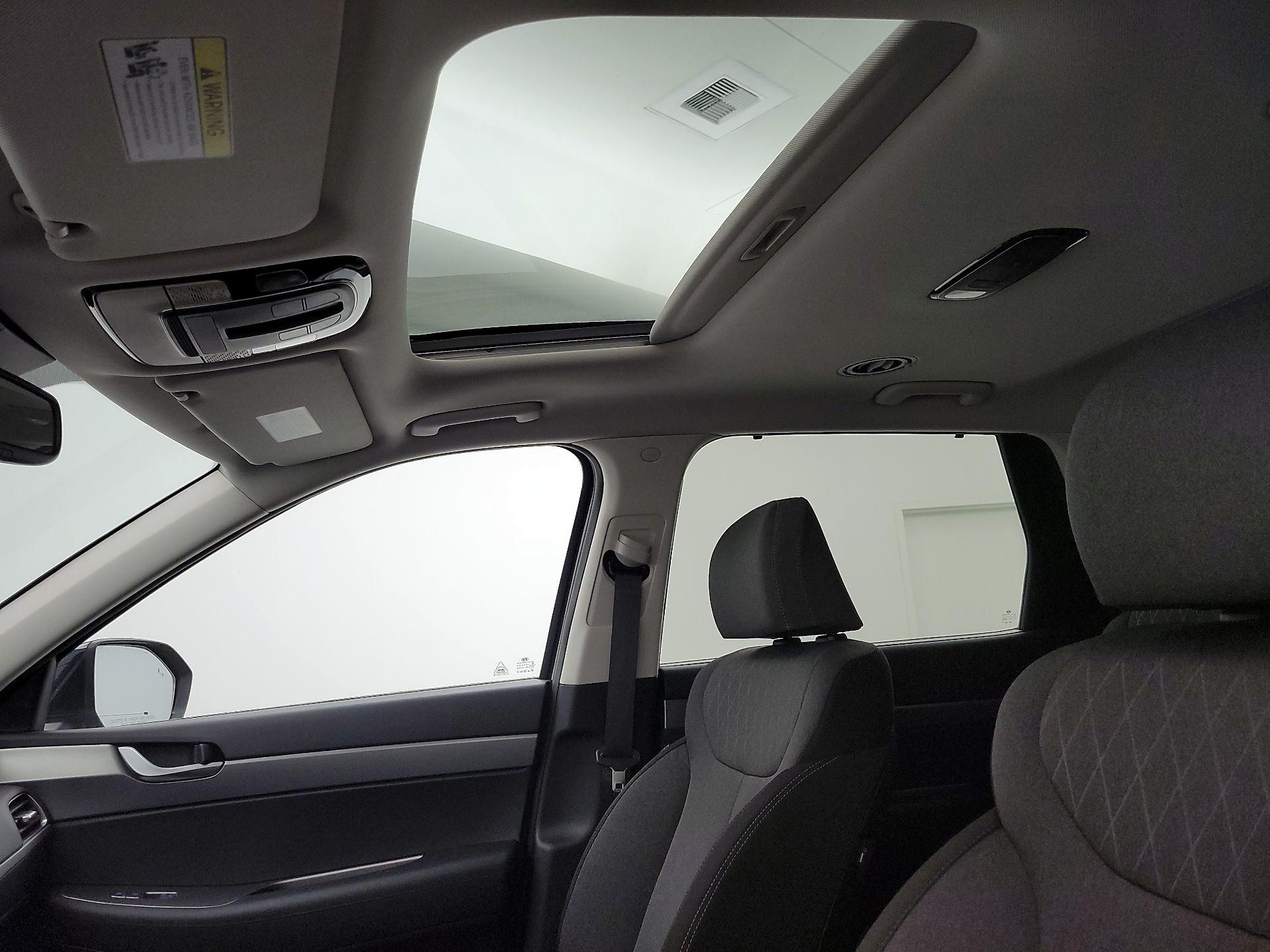 Thumbnail: 2020 Hyundai Palisade - 19