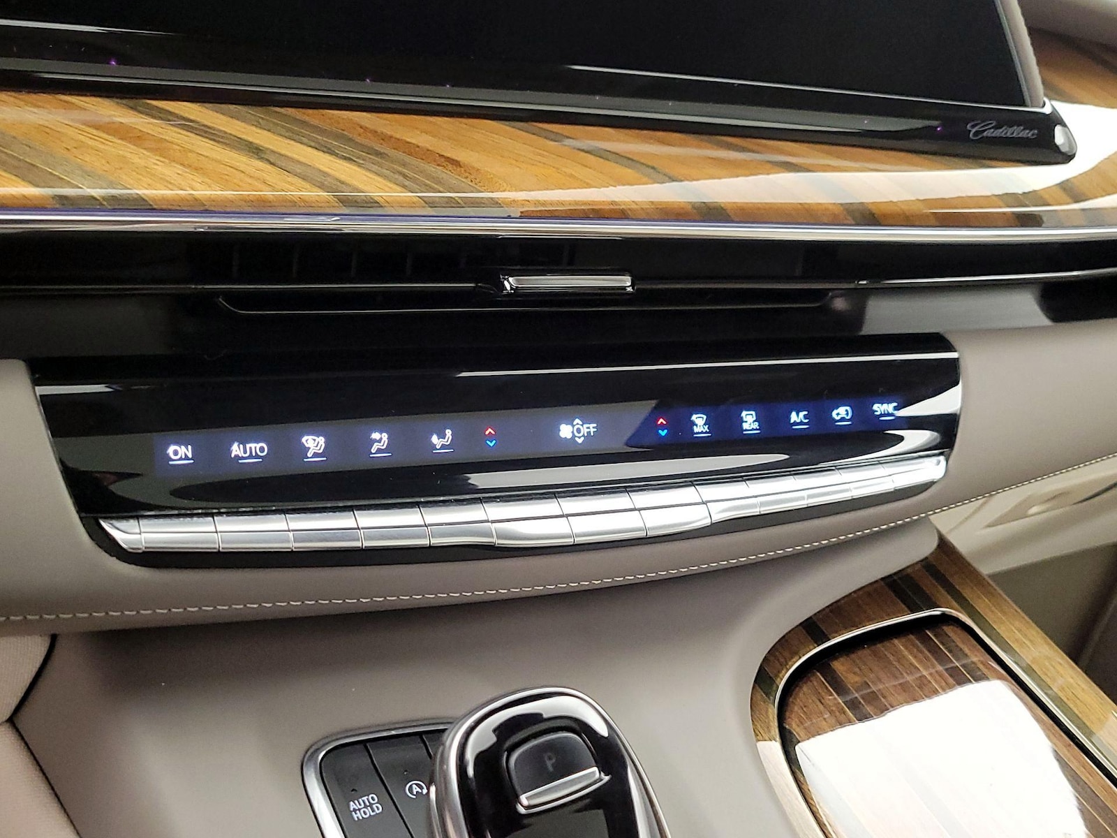 2021 Cadillac Escalade Premium Luxury Platinum - Photo 18