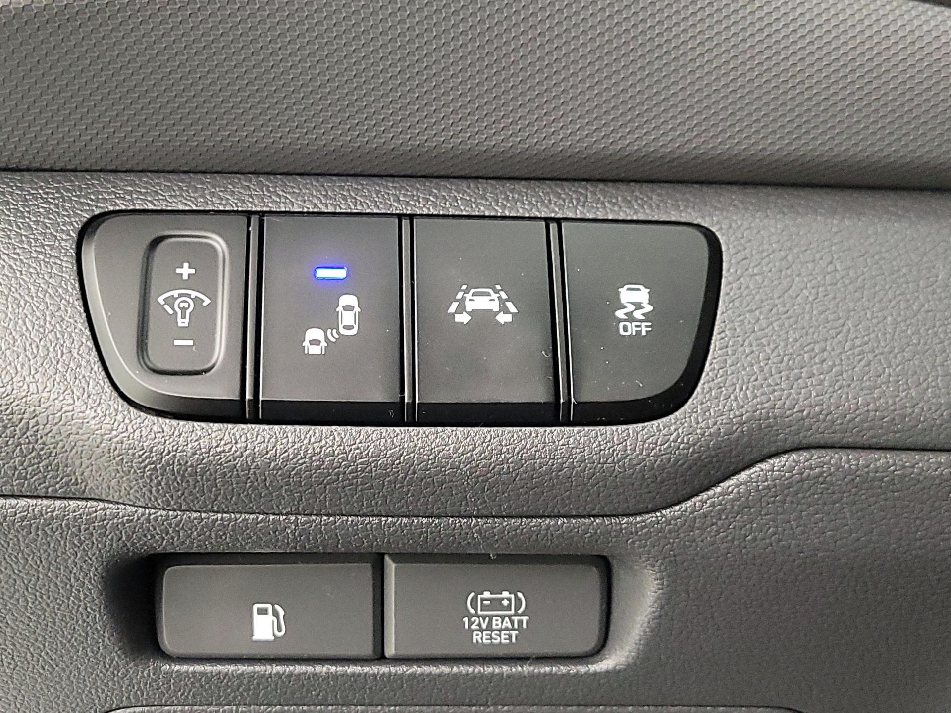 Thumbnail: 2019 Hyundai Ioniq - 13