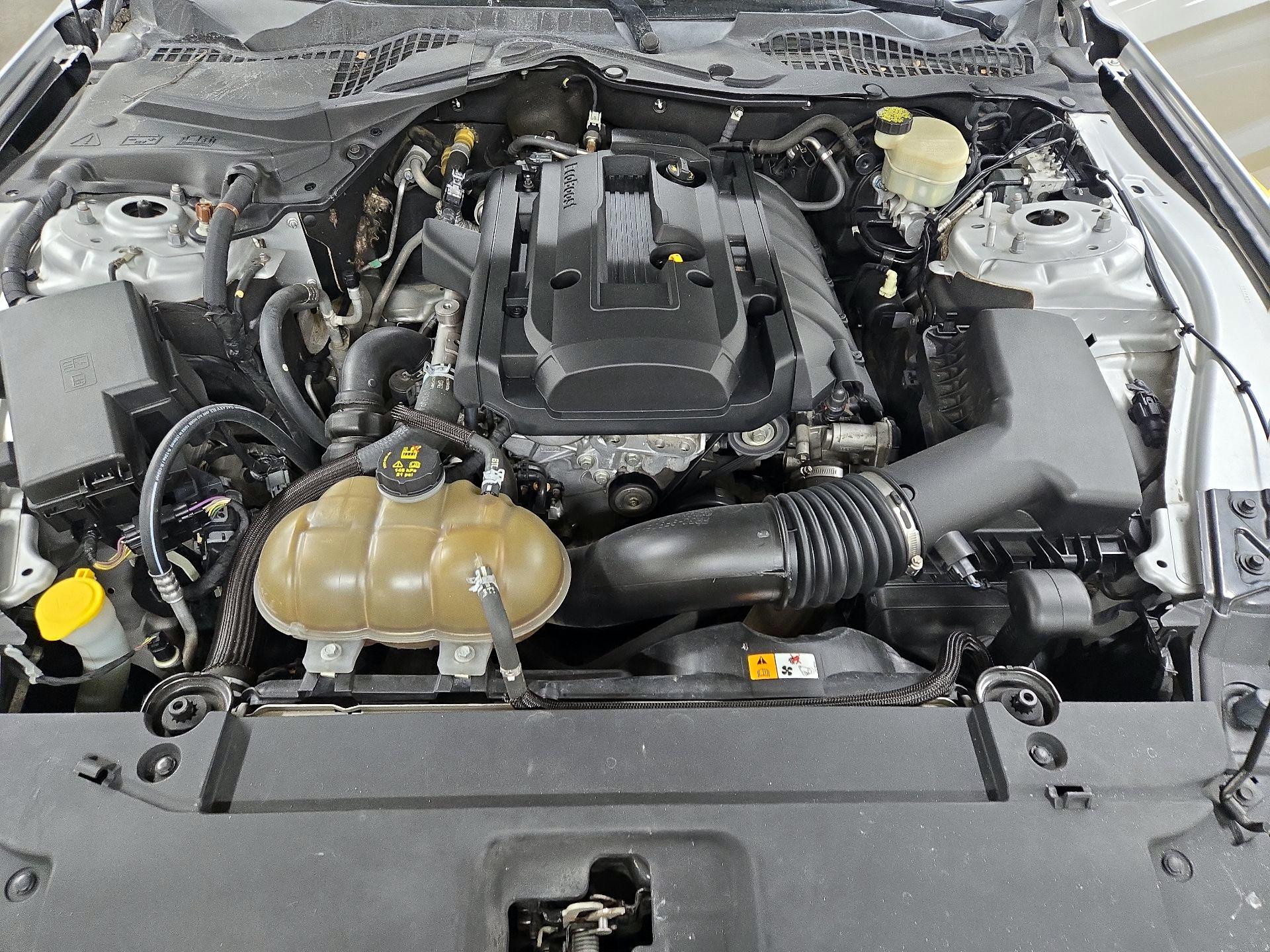 Thumbnail: 2016 Ford Mustang - 20