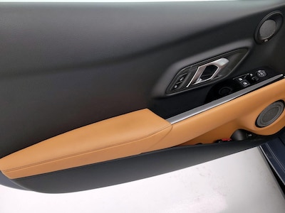 Driver Door Panel