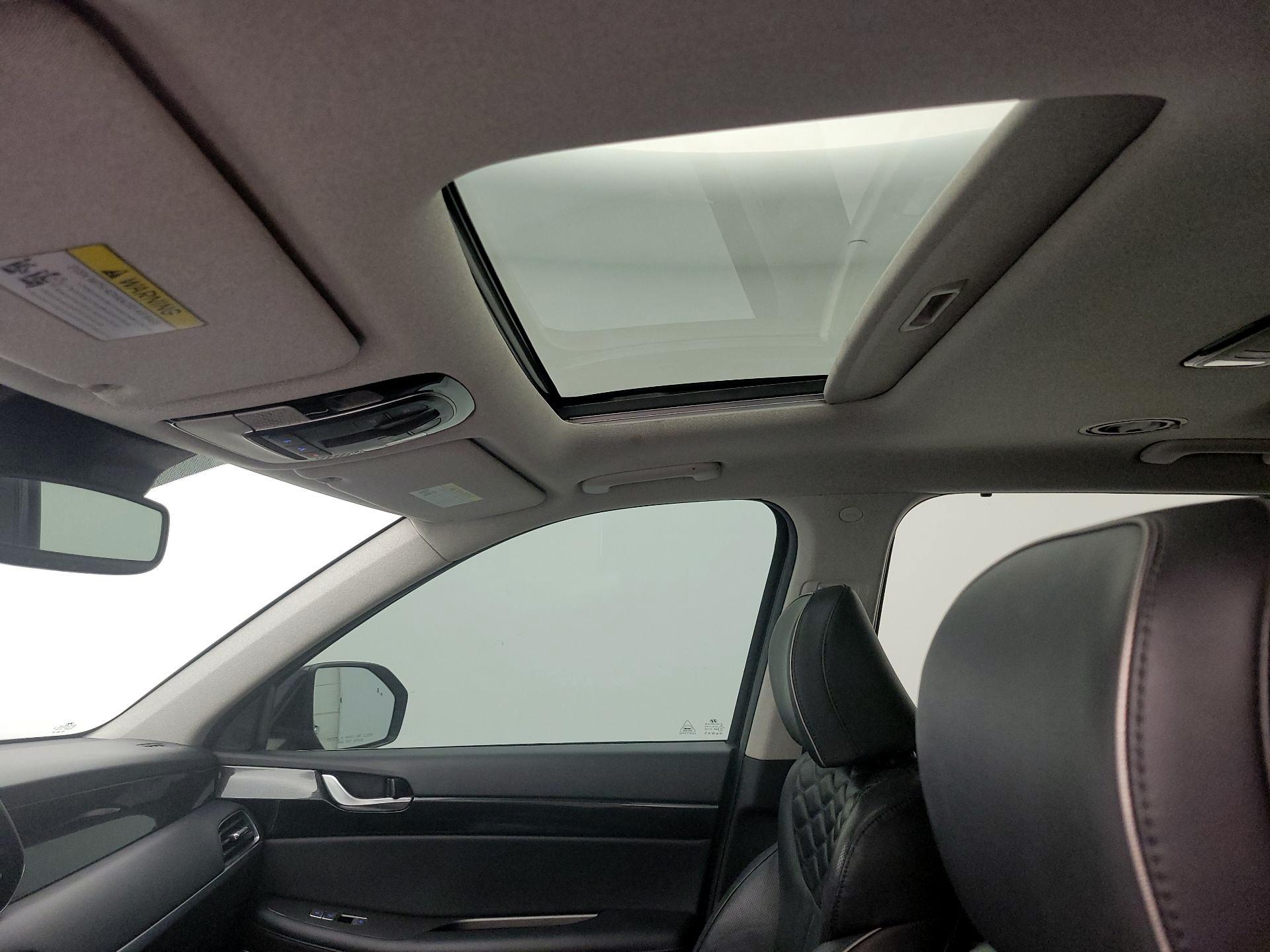 Thumbnail: 2021 Hyundai Palisade - 20