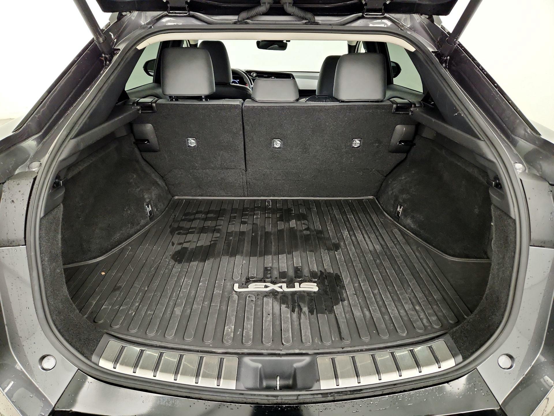 Thumbnail: 2024 Lexus RZ - 20