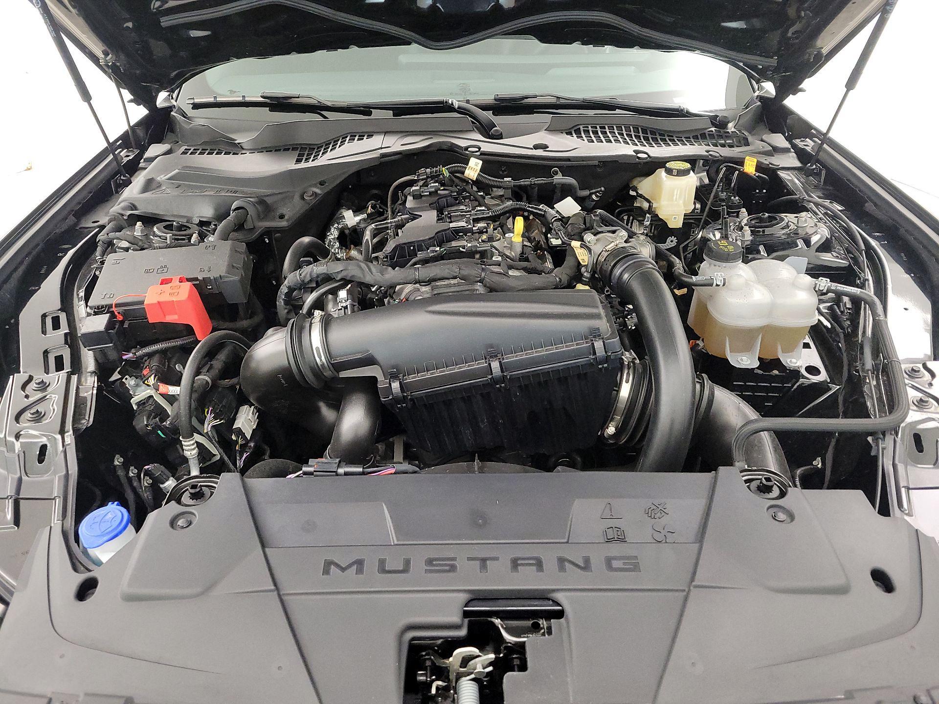 Thumbnail: 2025 Ford Mustang - 20