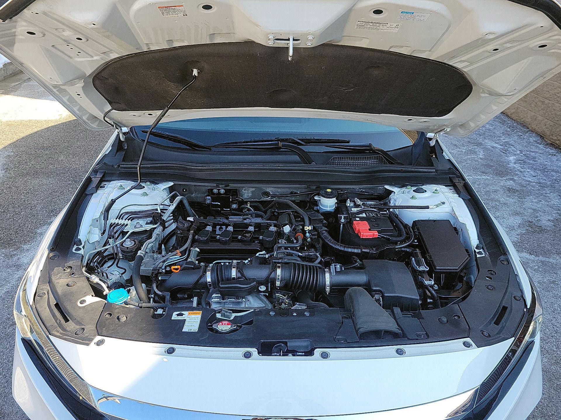 Thumbnail: 2022 Honda Accord - 19