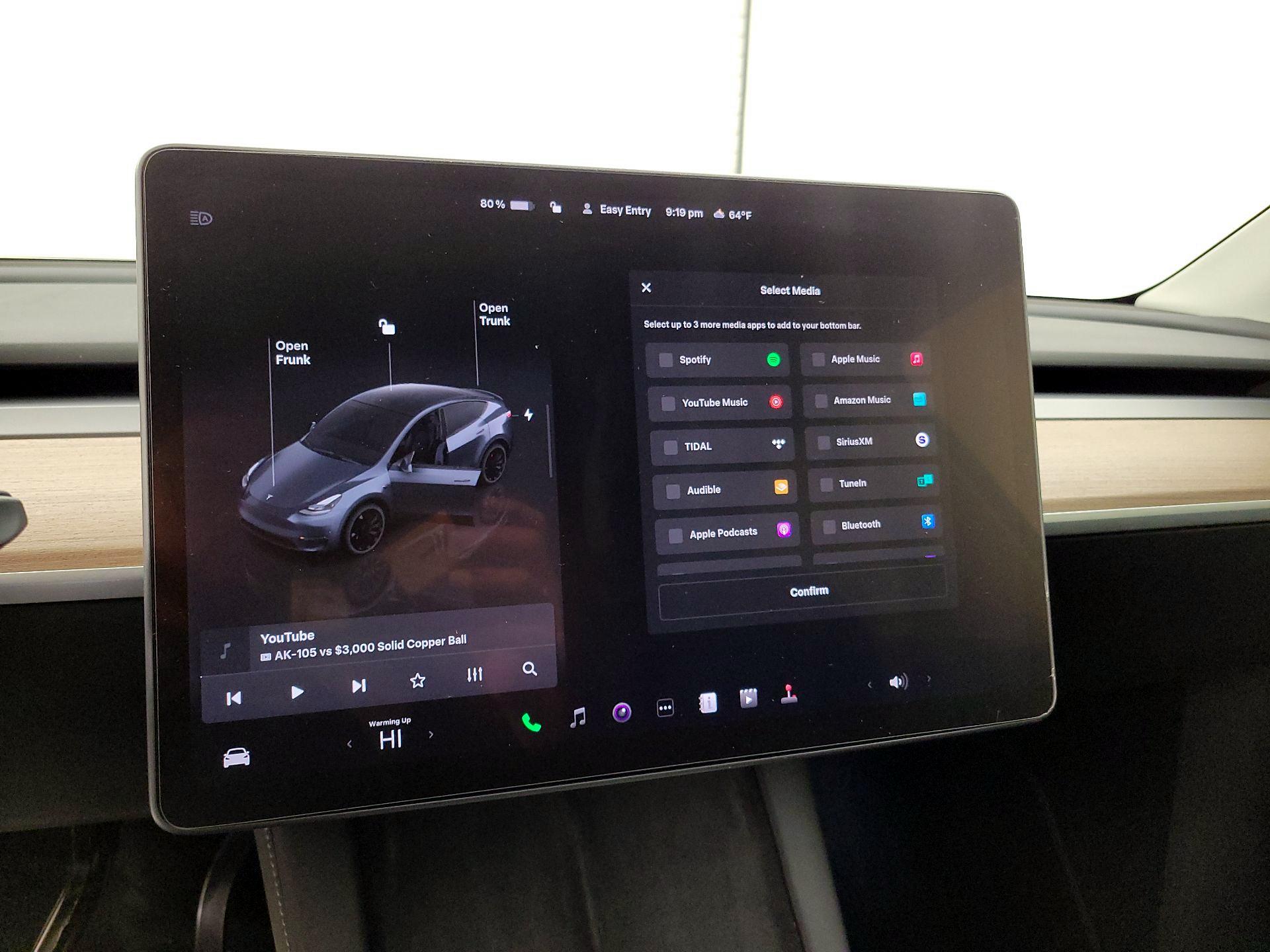 Thumbnail: 2022 Tesla Model Y - 15