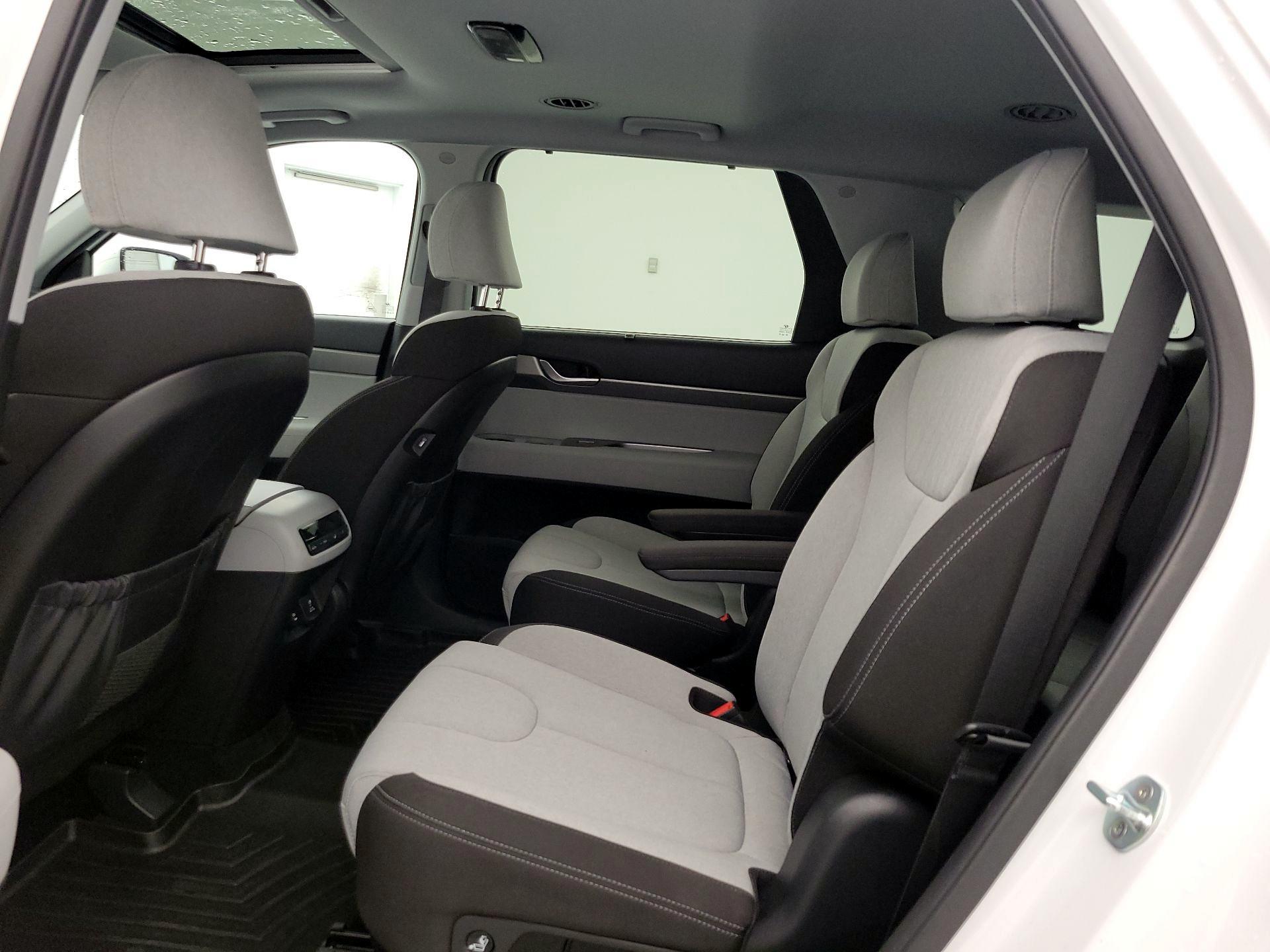 Thumbnail: 2020 Hyundai Palisade - 20