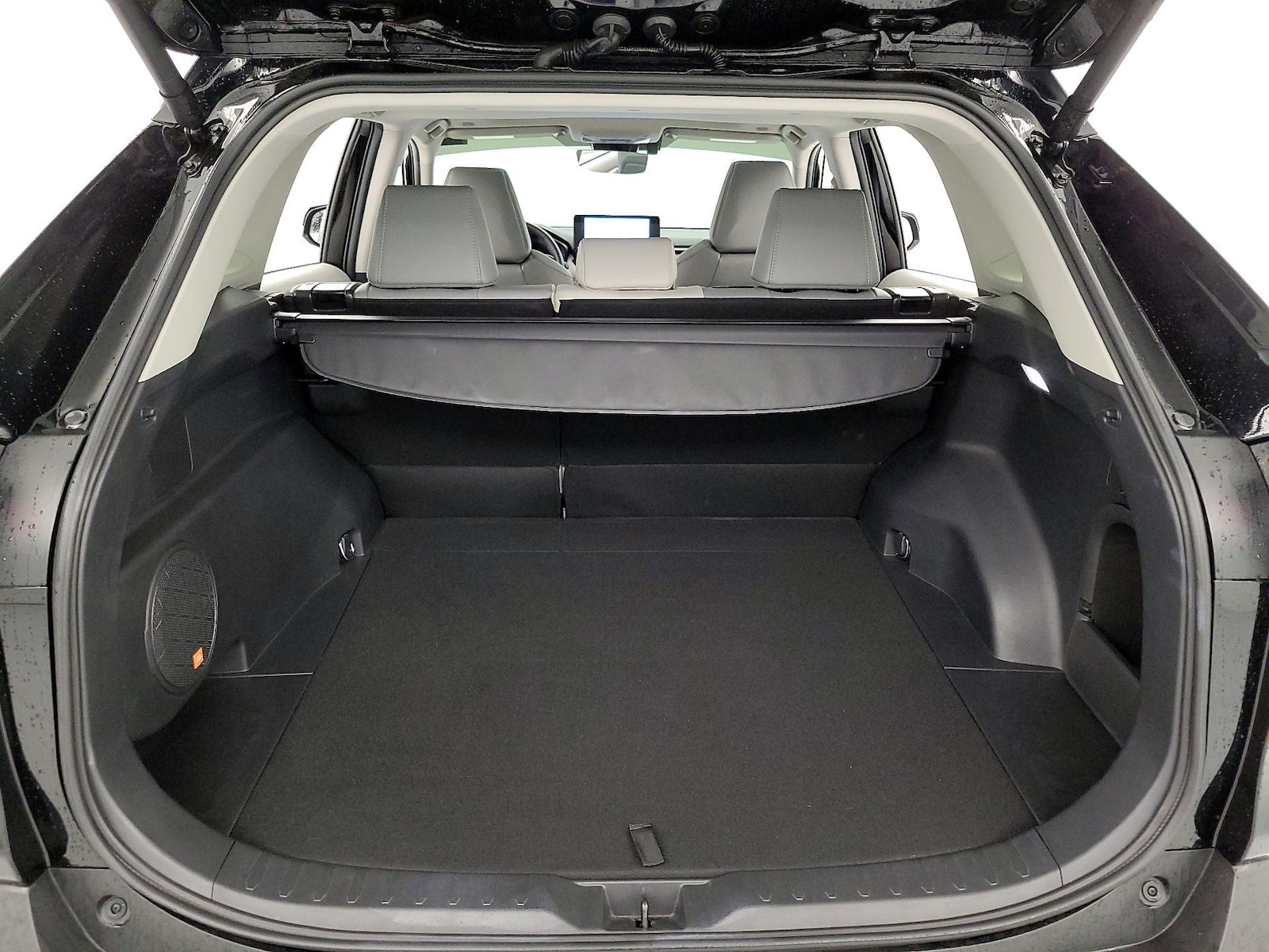 2024 Toyota RAV4 XLE Premium - Photo 22