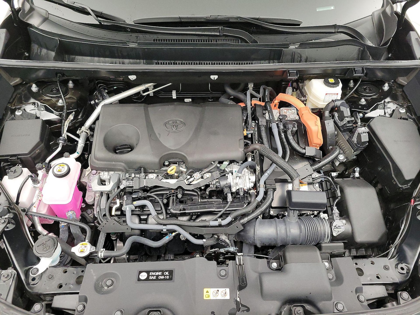 2024 Toyota RAV4 XLE Premium - Photo 23