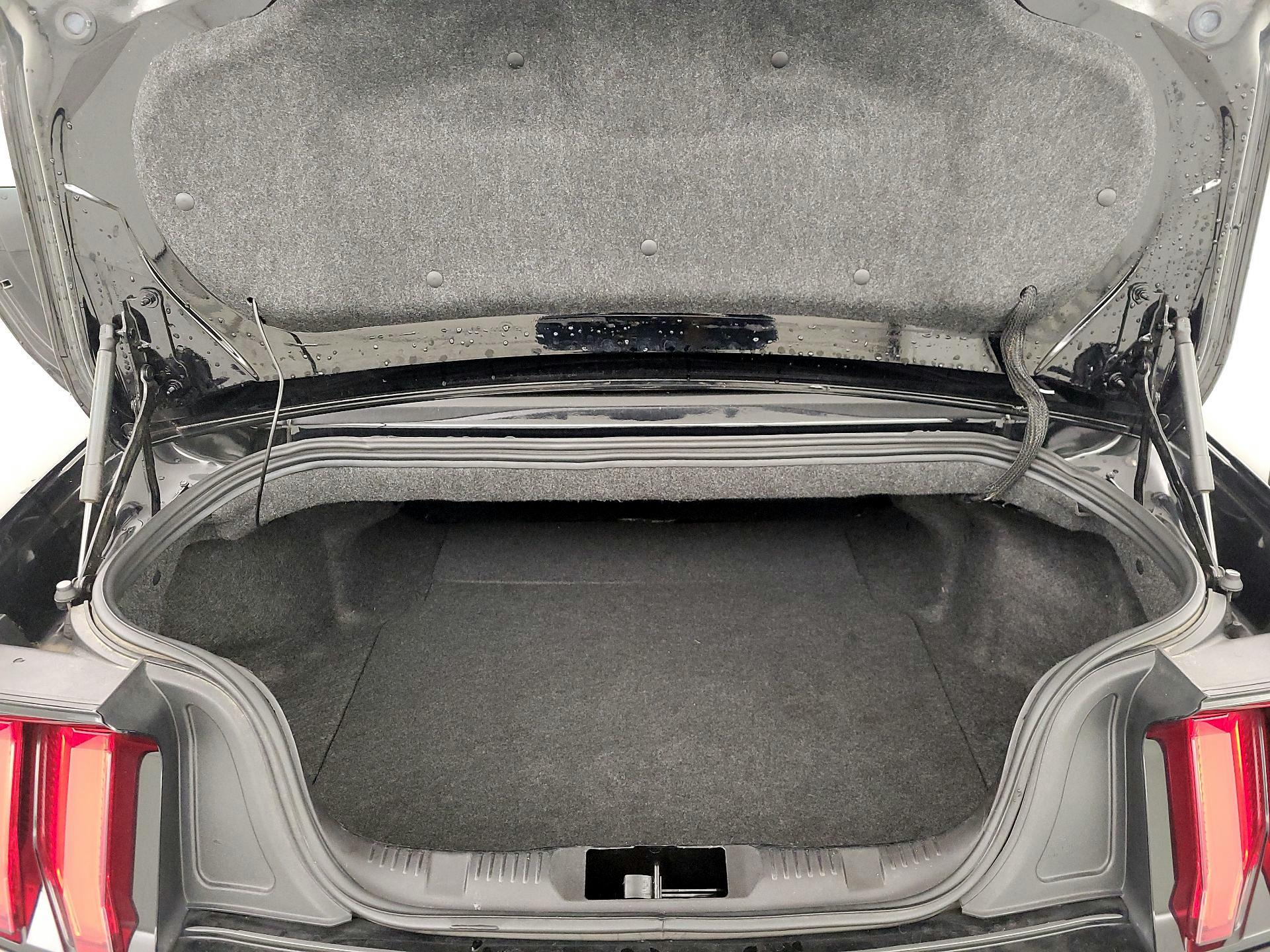 Thumbnail: 2023 Ford Mustang - 20