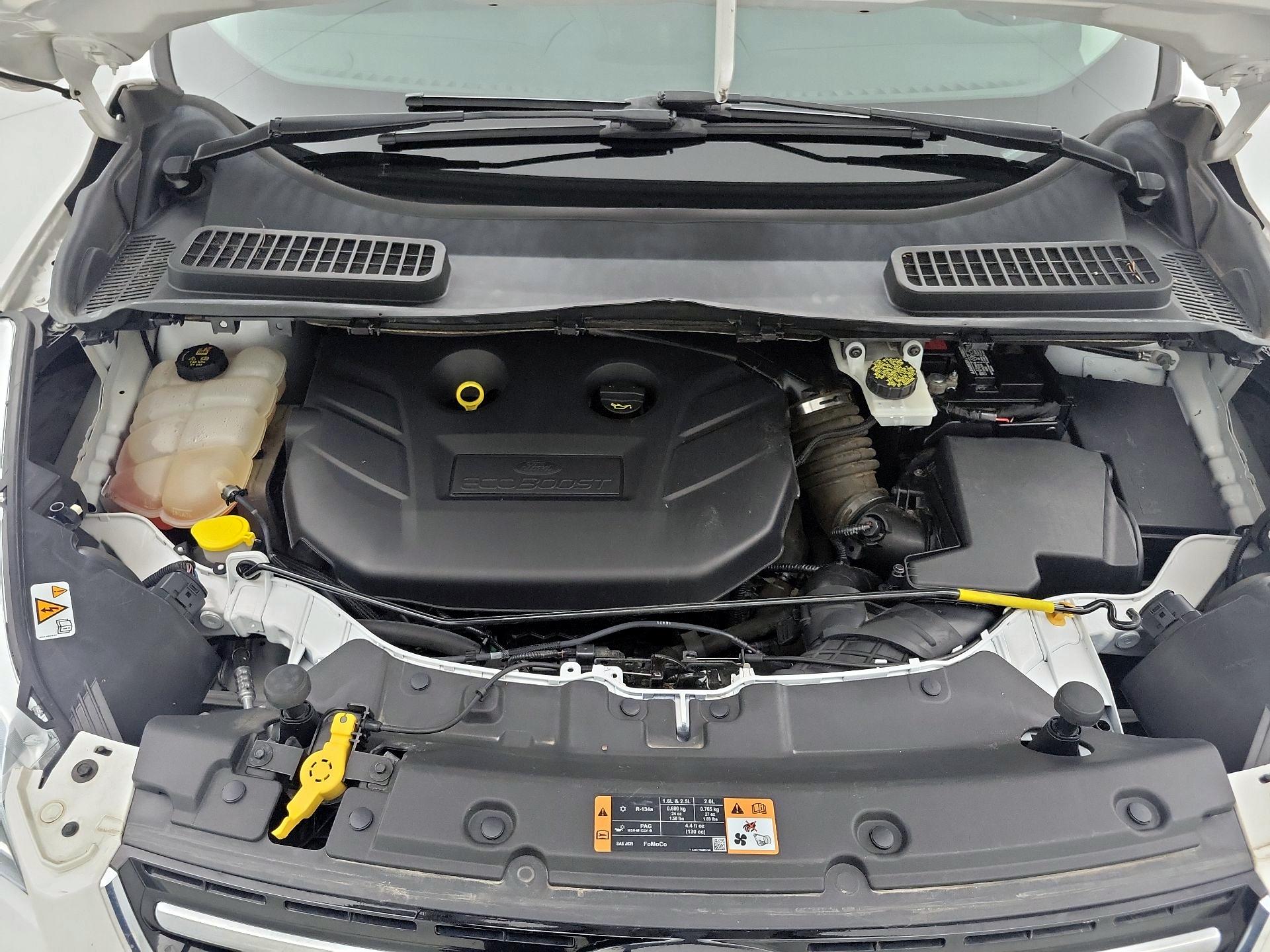 Thumbnail: 2014 Ford Escape - 20