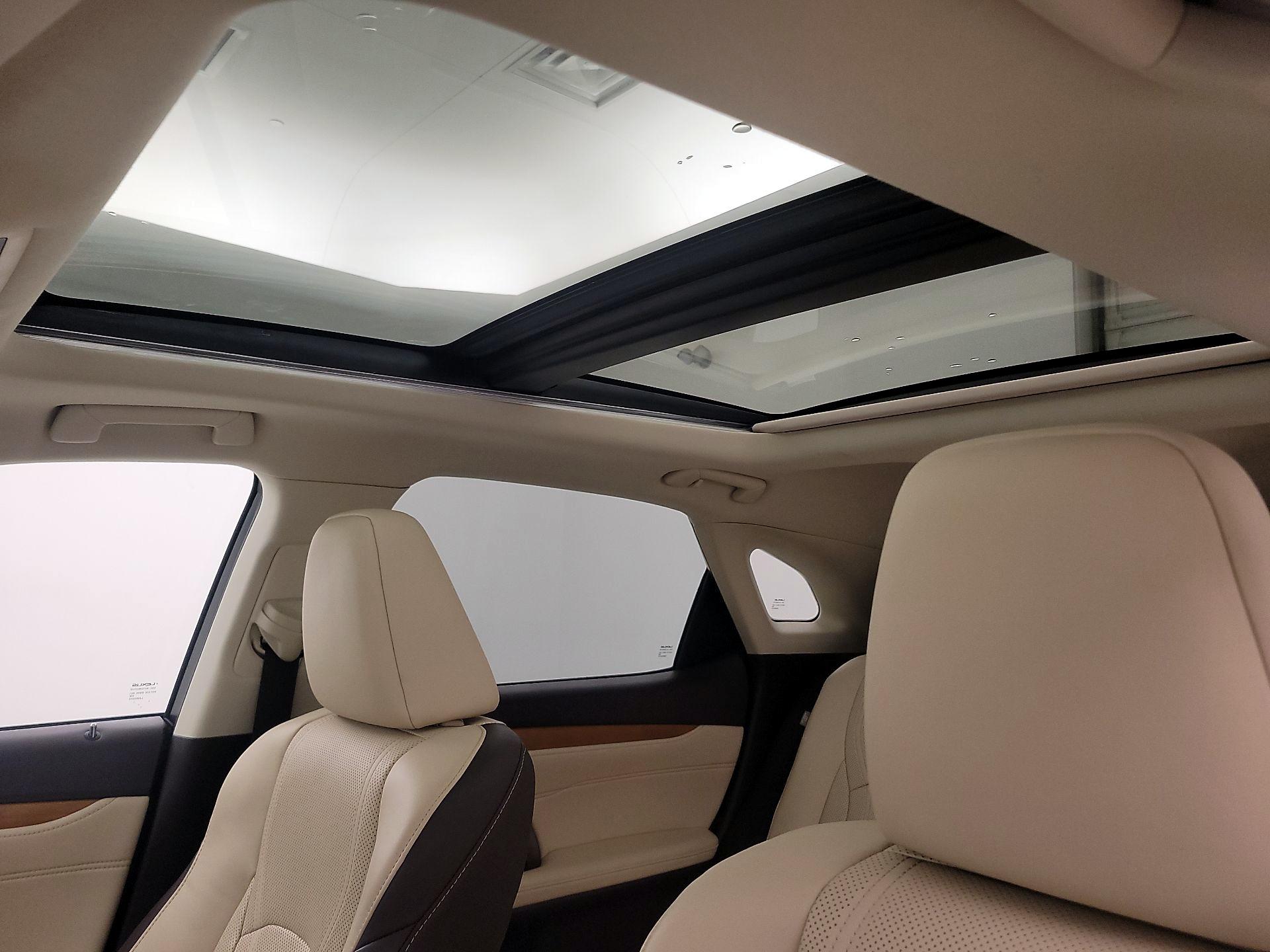 Thumbnail: 2019 Lexus RX - 19