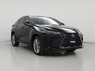 2025 Lexus NX 350h Premium