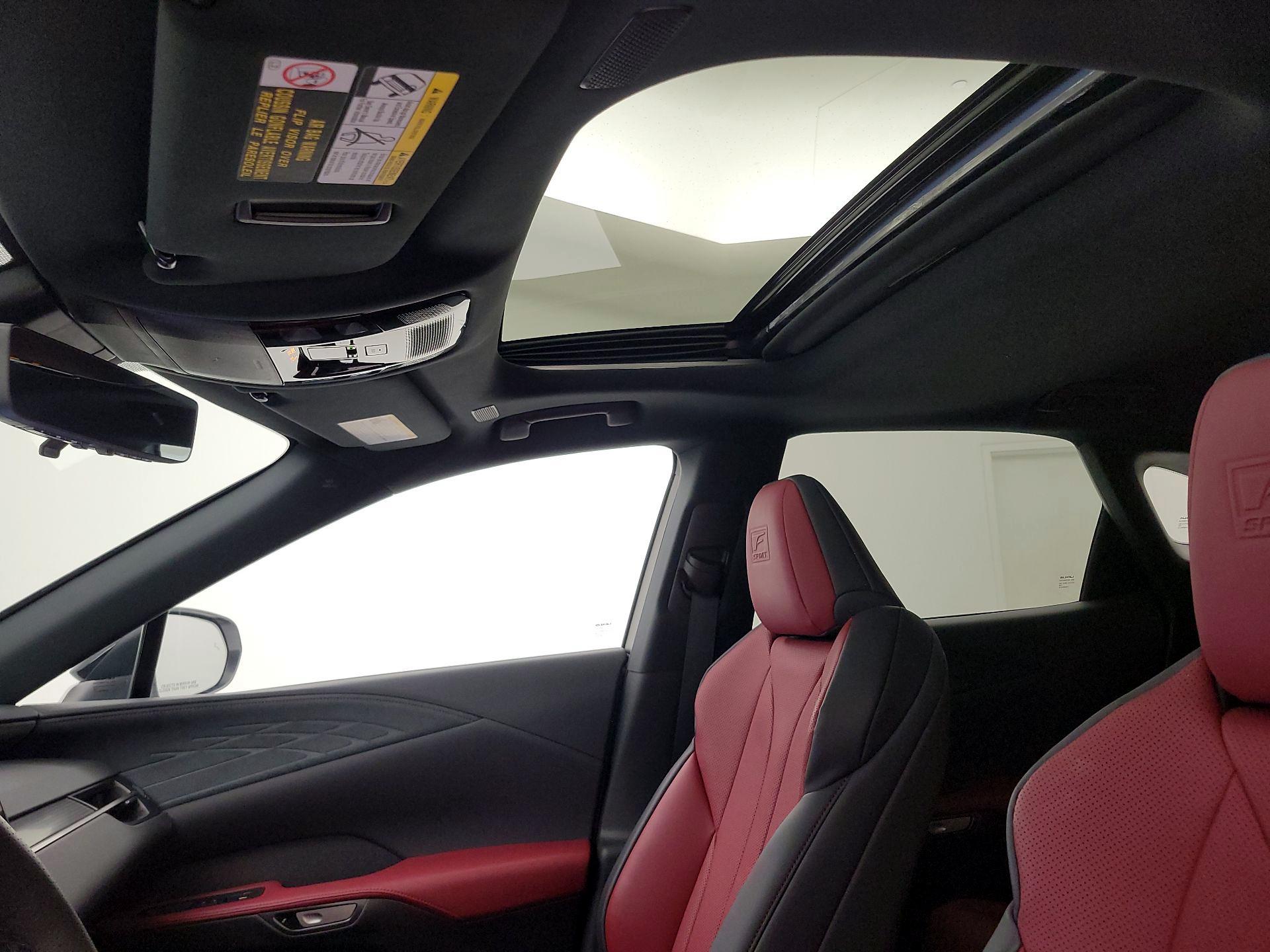 Thumbnail: 2024 Lexus RX - 19