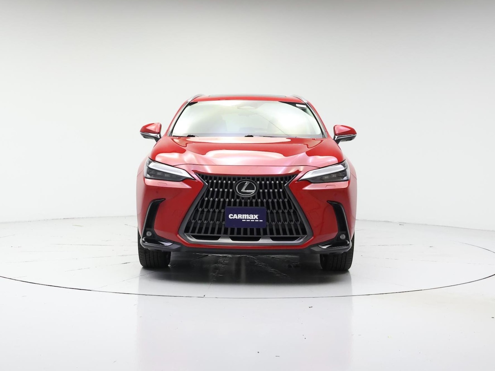 2024 Lexus NX 350 - Photo 6