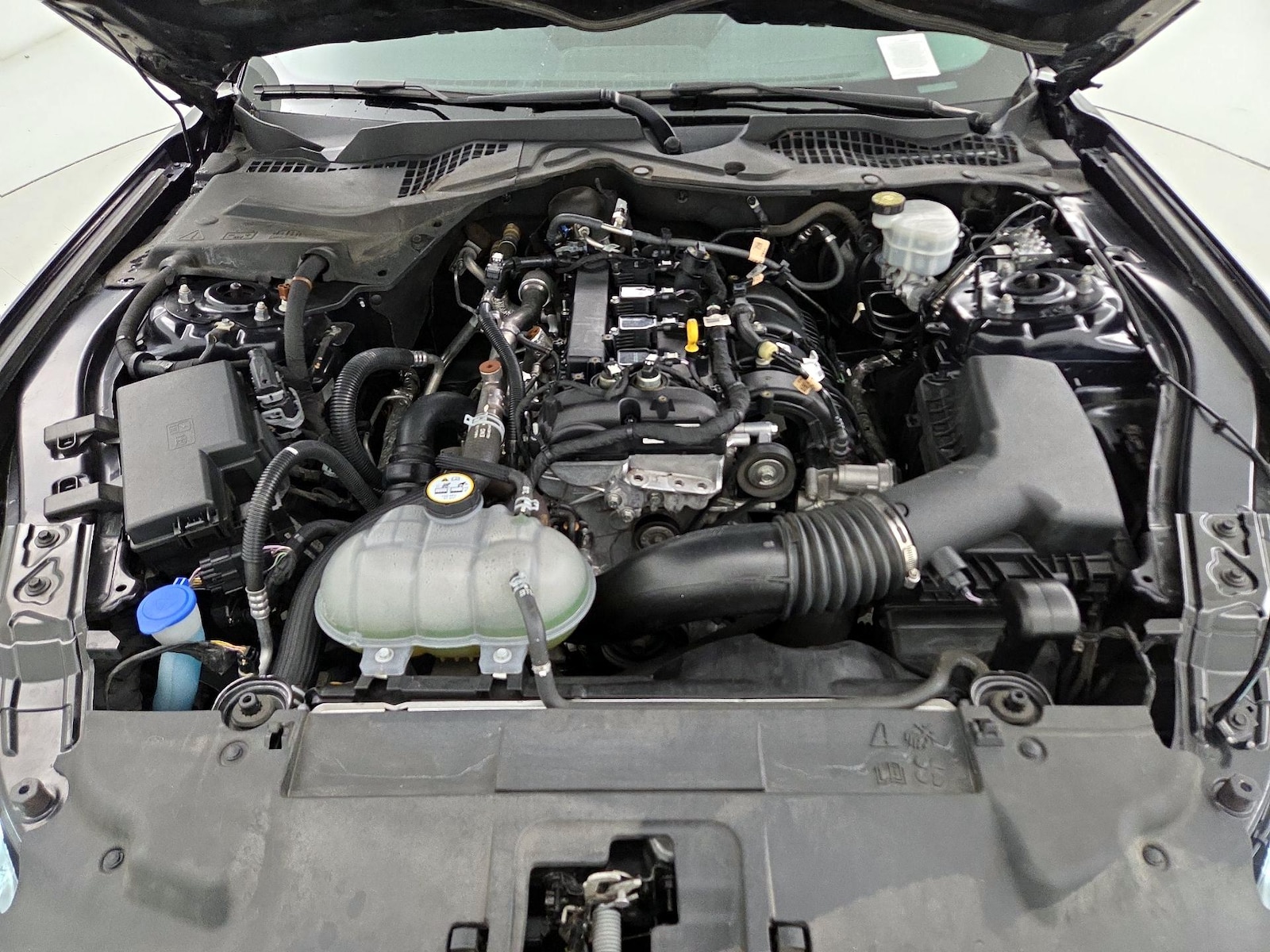 2021 Ford Mustang EcoBoost - Photo 22