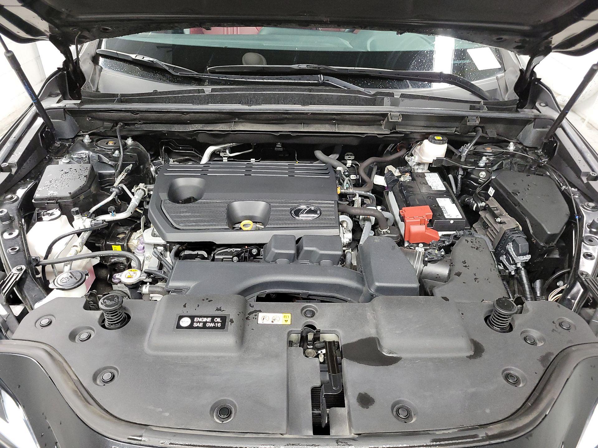 Thumbnail: 2024 Lexus NX - 18