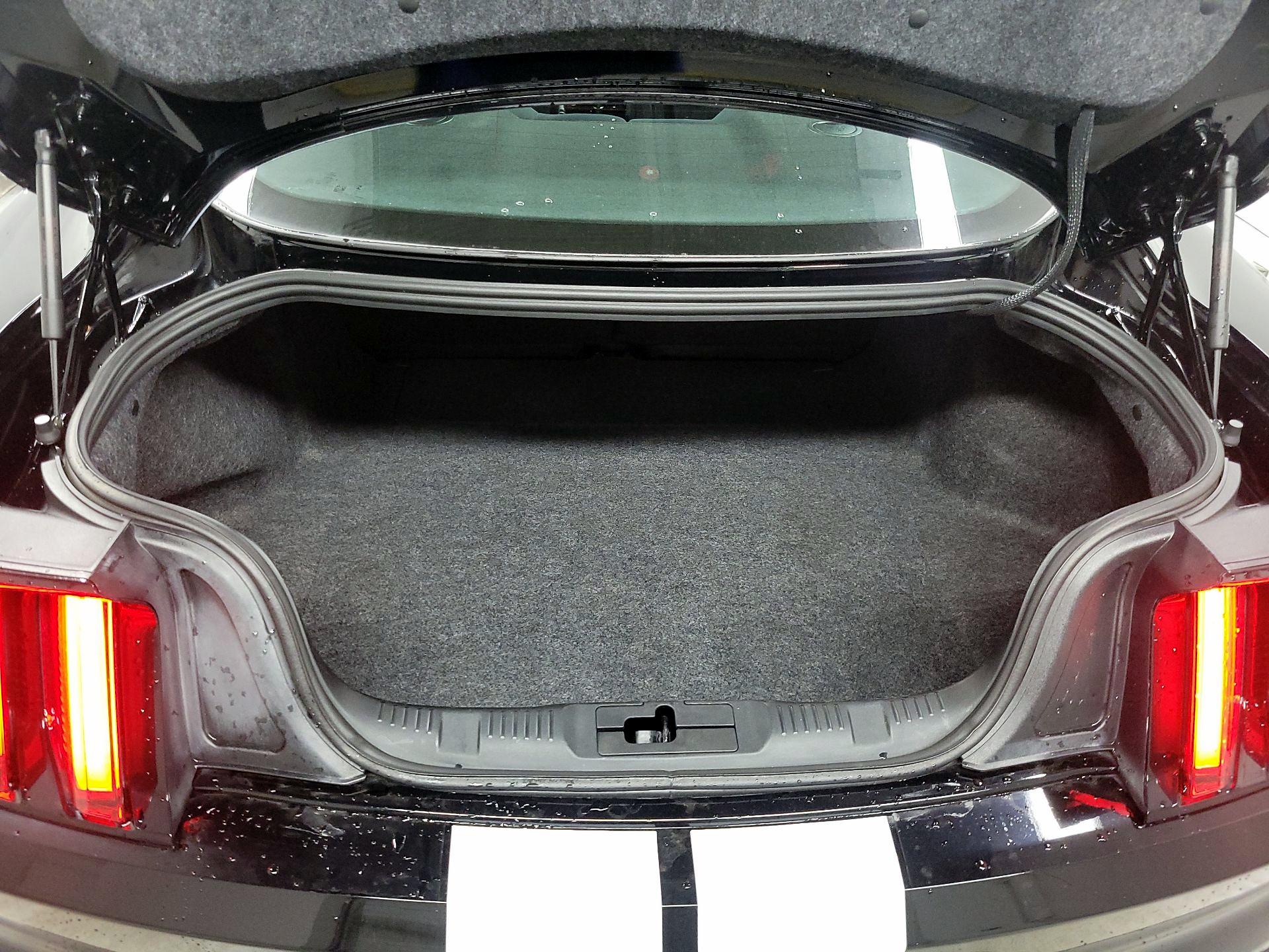 Thumbnail: 2018 Ford Mustang - 17