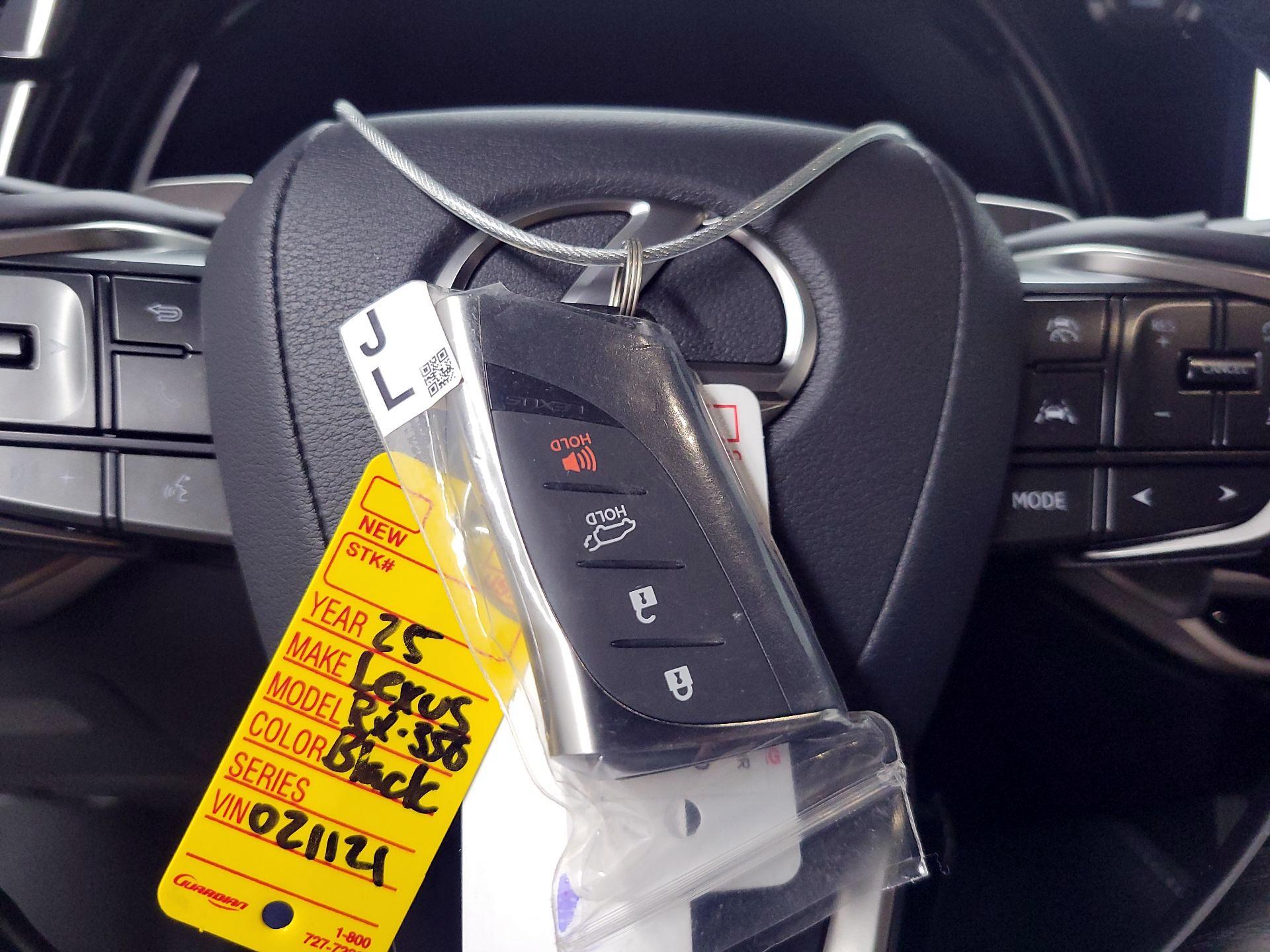 Thumbnail: 2025 Lexus RX - 20