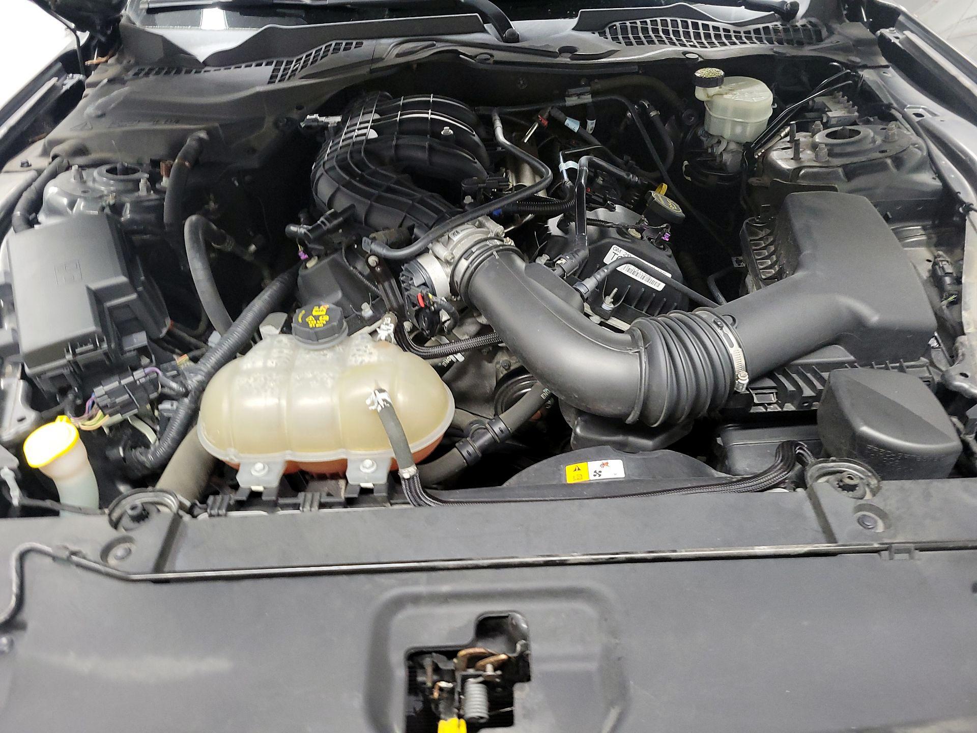 Thumbnail: 2016 Ford Mustang - 20