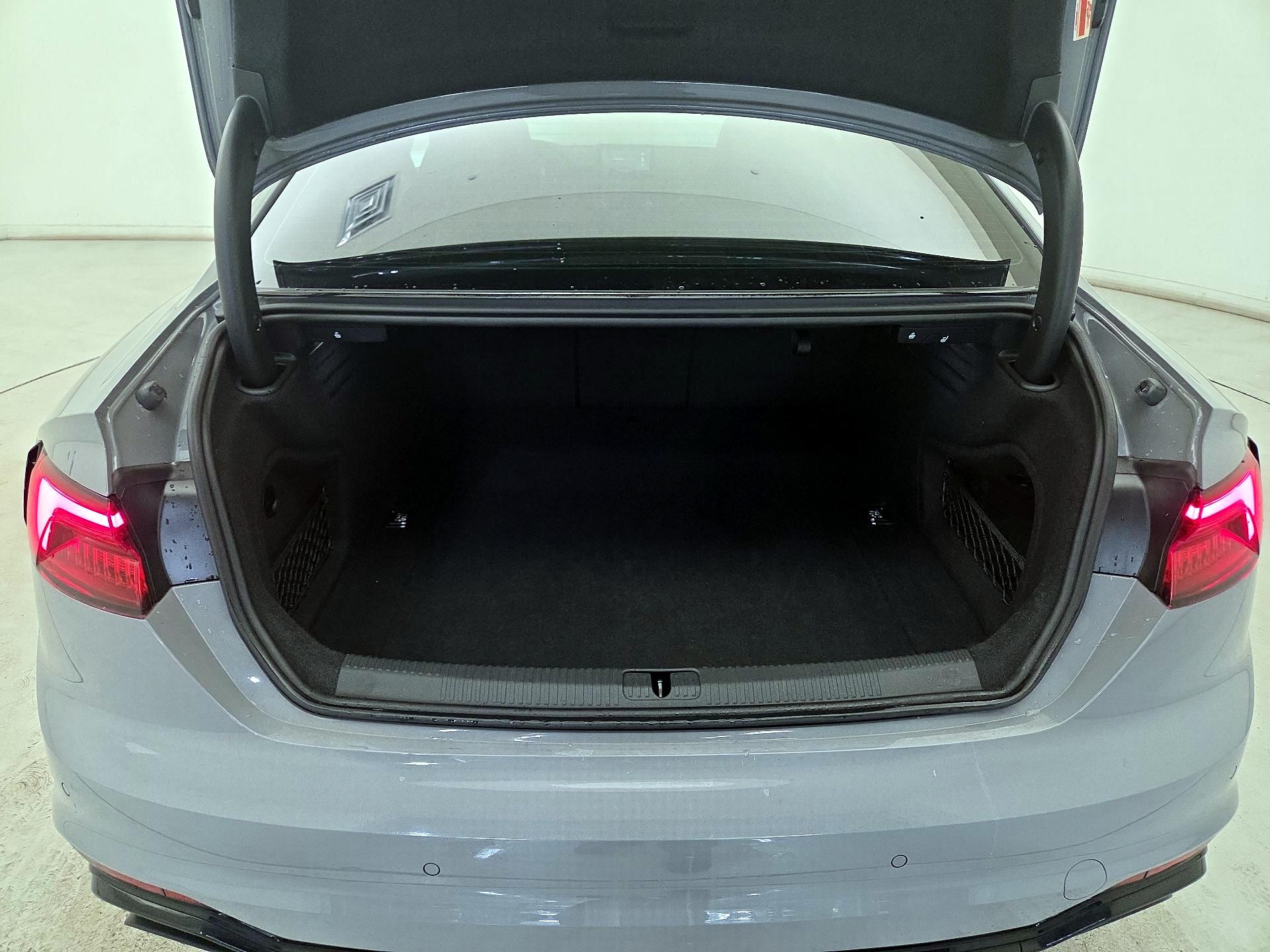 Thumbnail: 2019 Audi RS 5 - 20