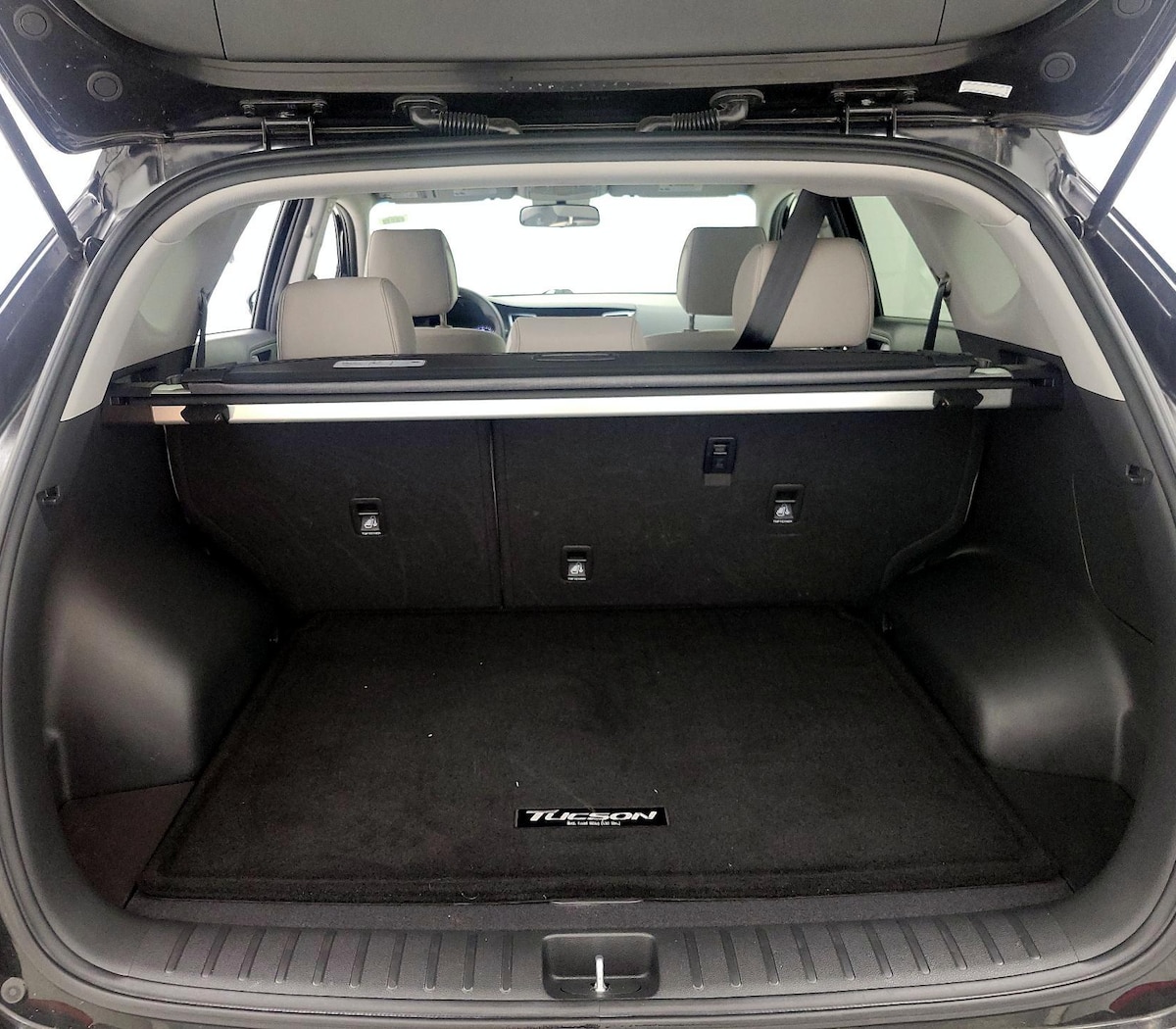 Trunk/Cargo (Seats Up)