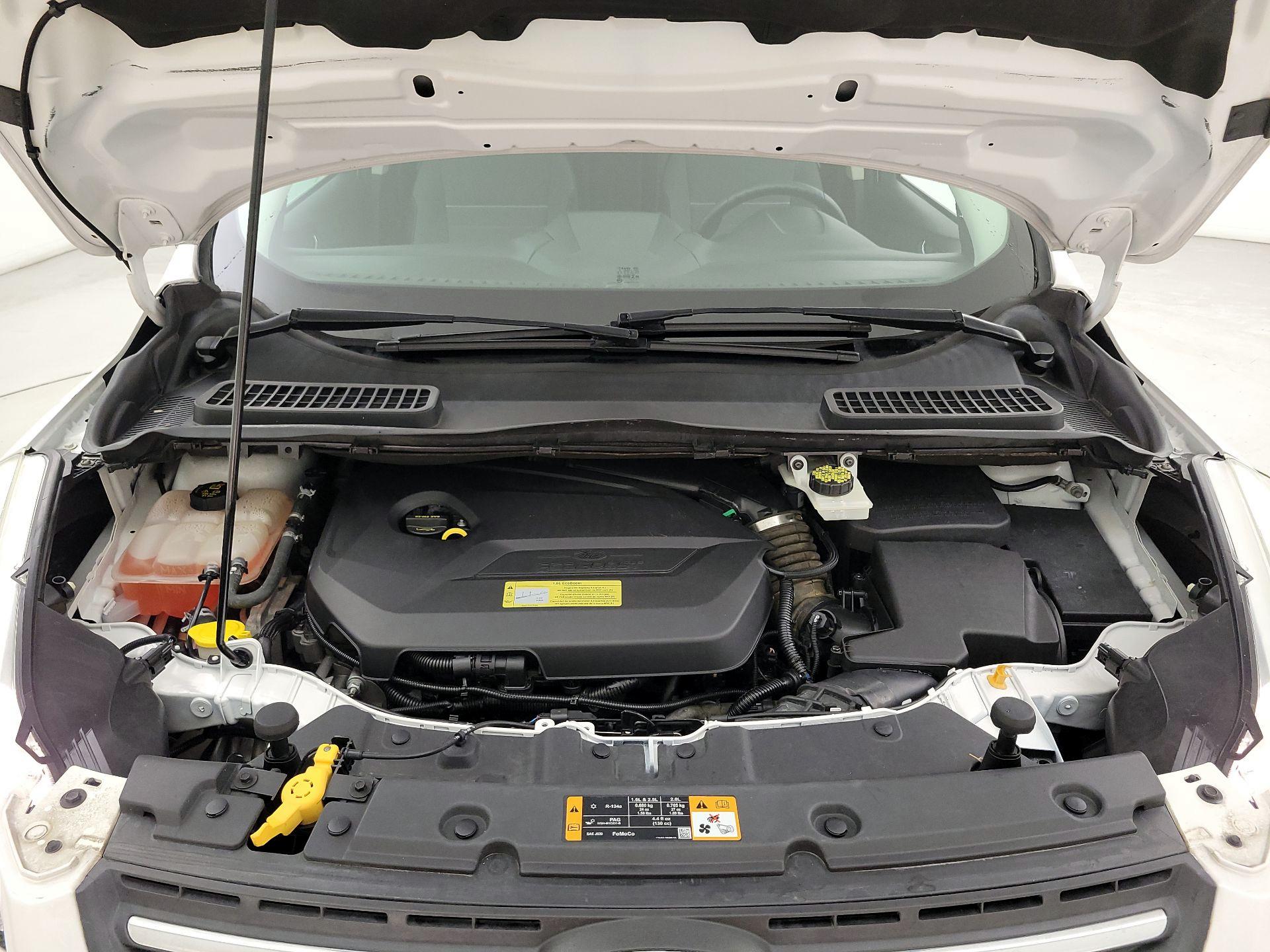 Thumbnail: 2014 Ford Escape - 20