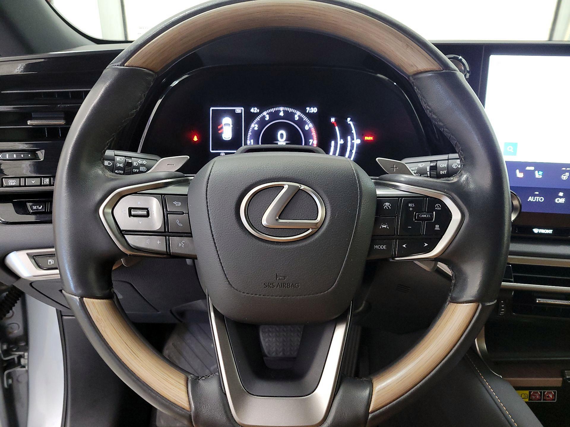 Thumbnail: 2023 Lexus RX - 10