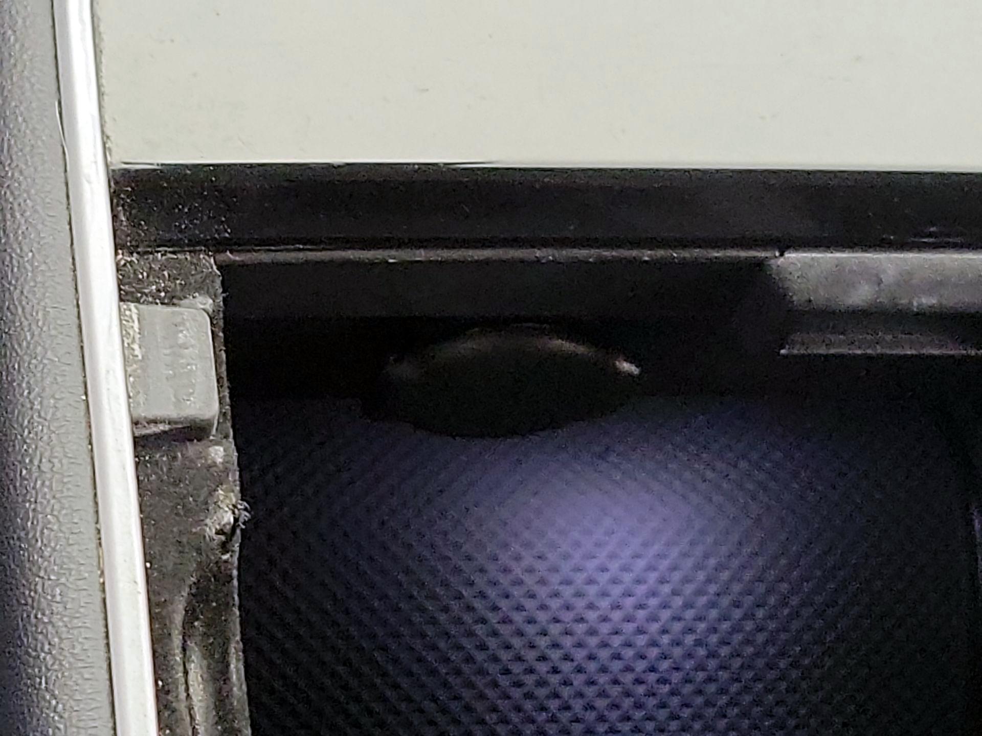 Thumbnail: 2020 Tesla Model 3 - 18