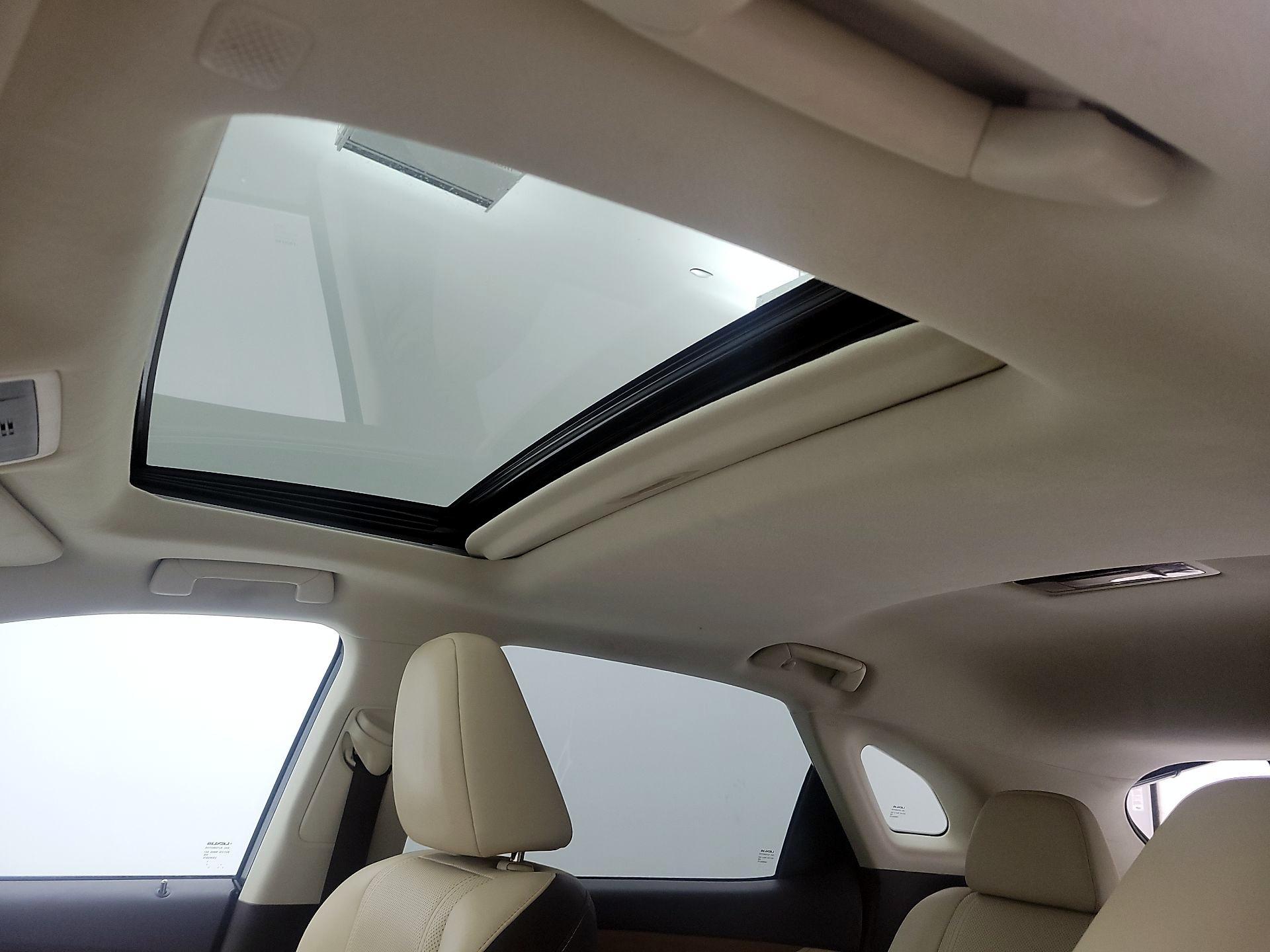 Thumbnail: 2019 Lexus RX - 19