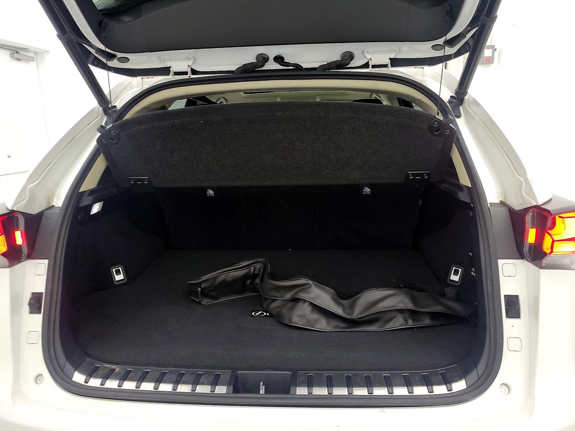 Thumbnail: 2018 Lexus NX - 20