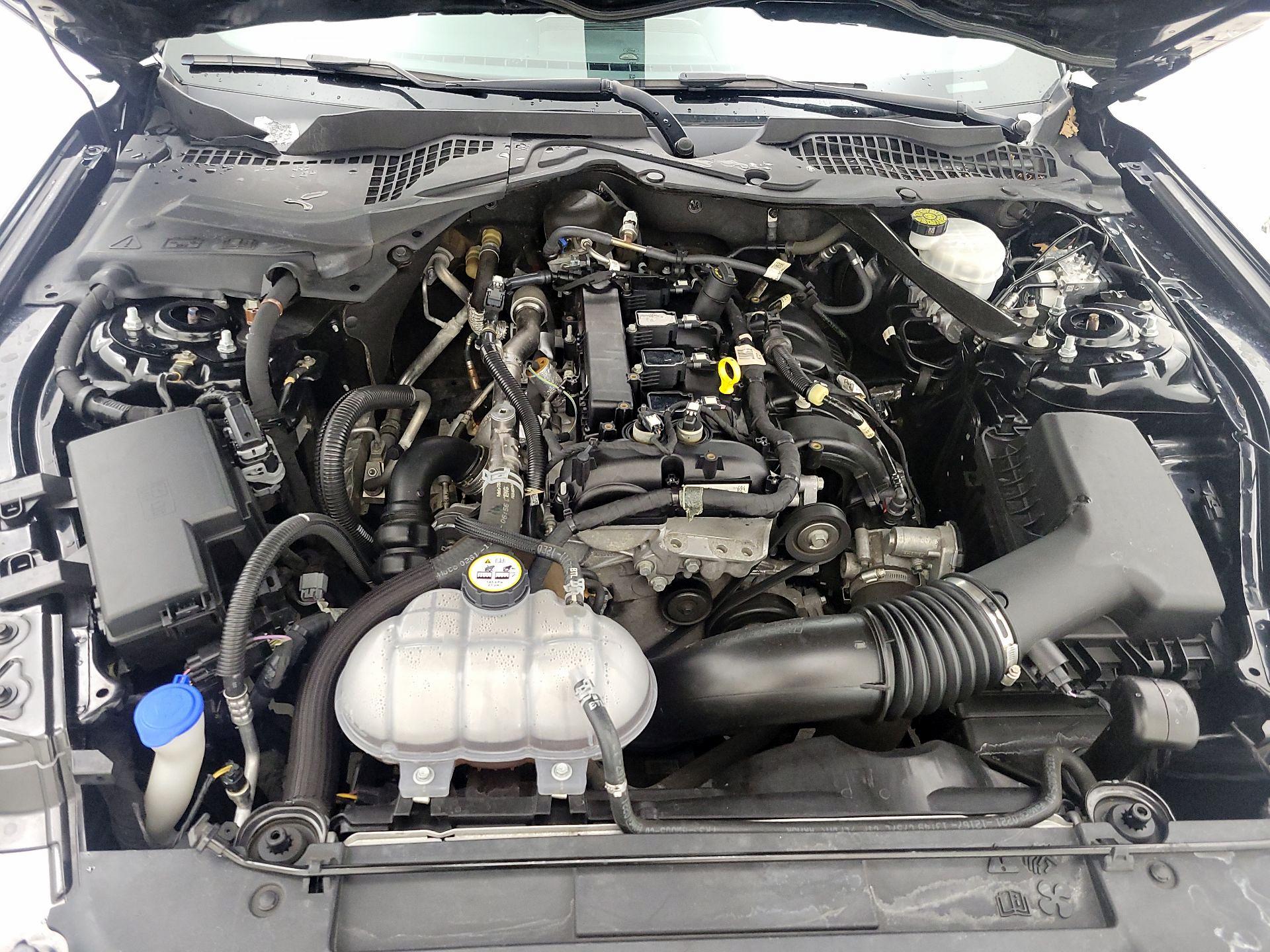 Thumbnail: 2021 Ford Mustang - 19