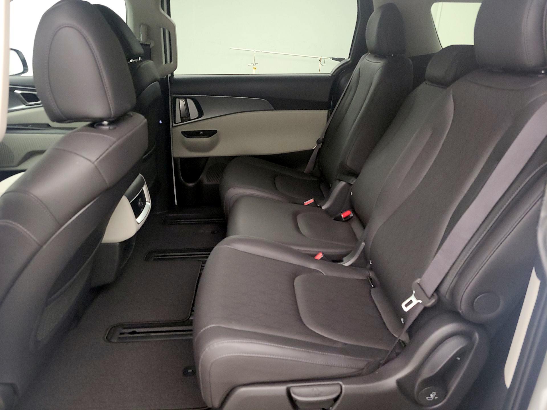 Thumbnail: 2024 Kia Carnival - 19