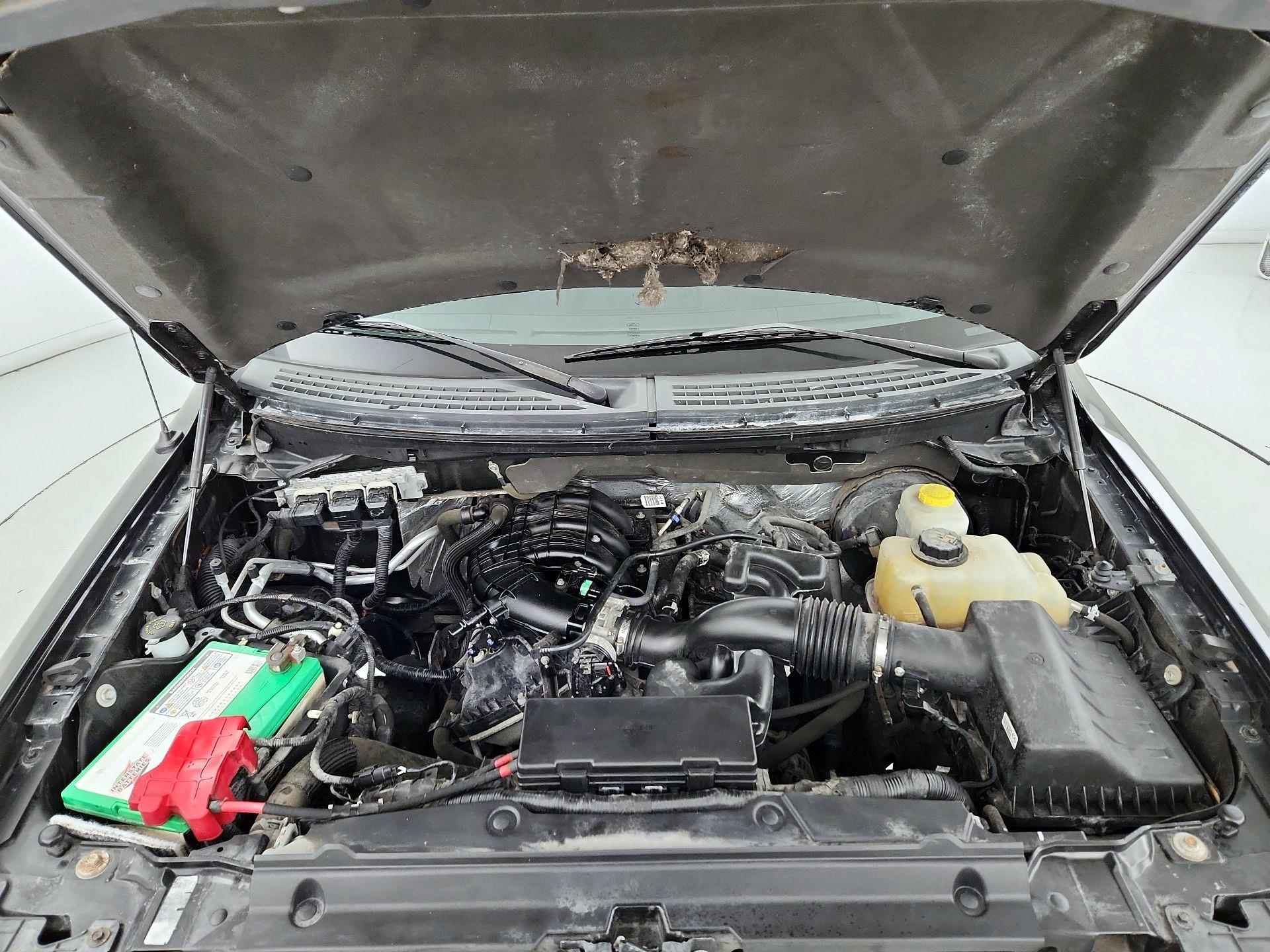 Thumbnail: 2014 Ford F-150 - 19