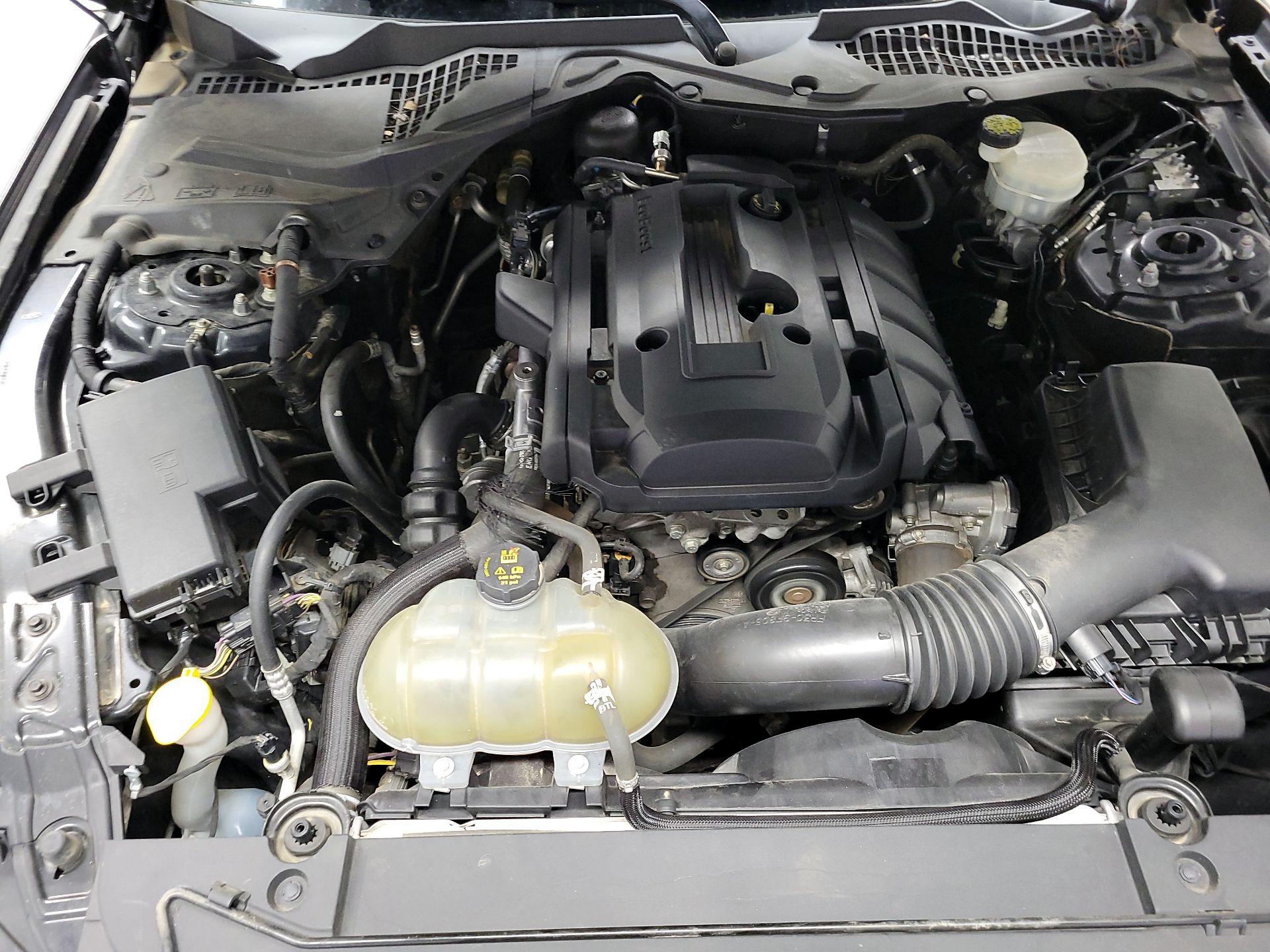 Thumbnail: 2017 Ford Mustang - 18