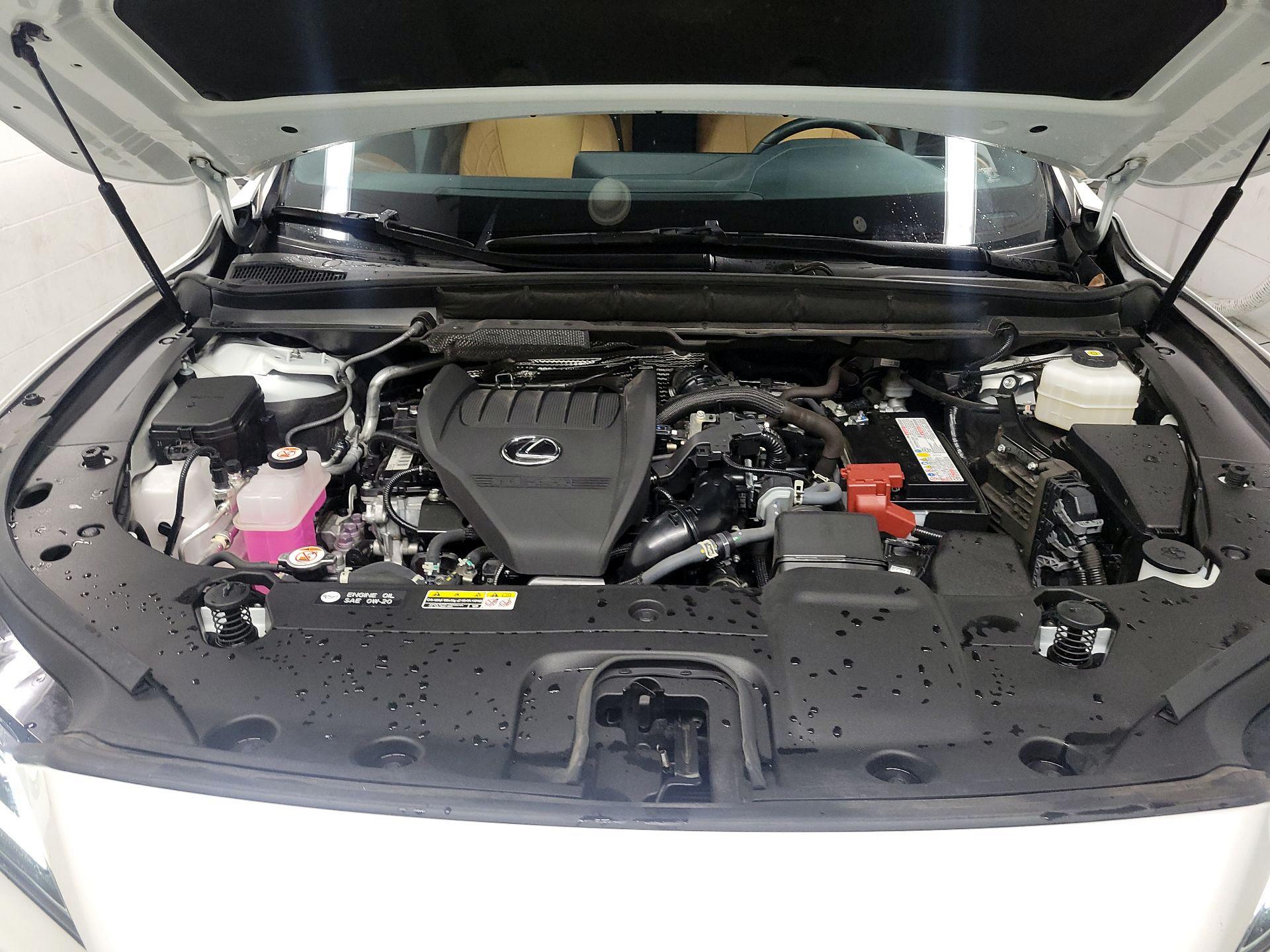 Thumbnail: 2024 Lexus RX - 20